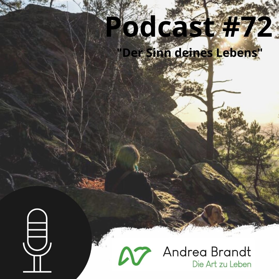 Andrea Brandt - Die Art zu Leben