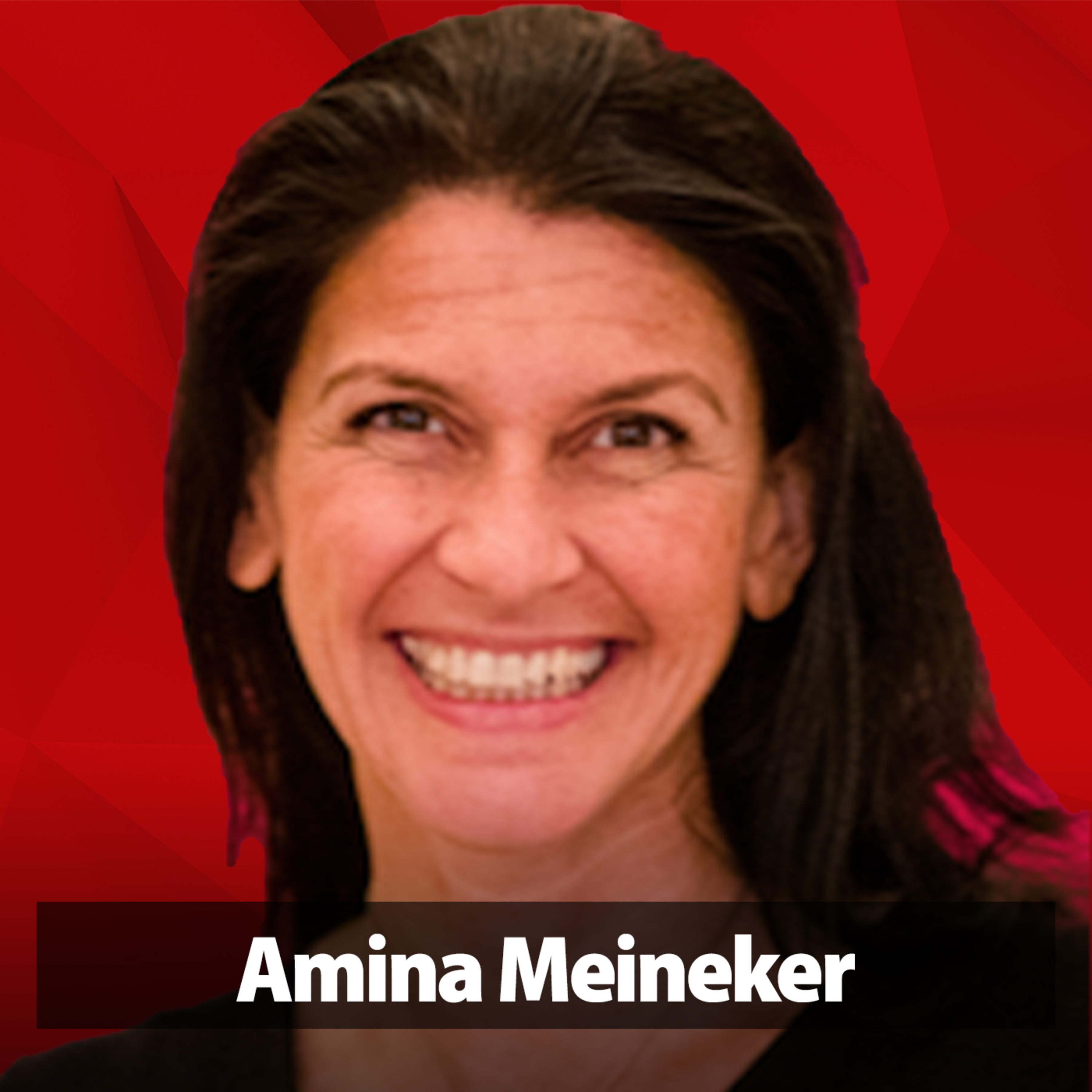 Leistung, Power, Innovation - mit Frequenz - Führung erfolgreich sein | Amina Meineker episode artwork