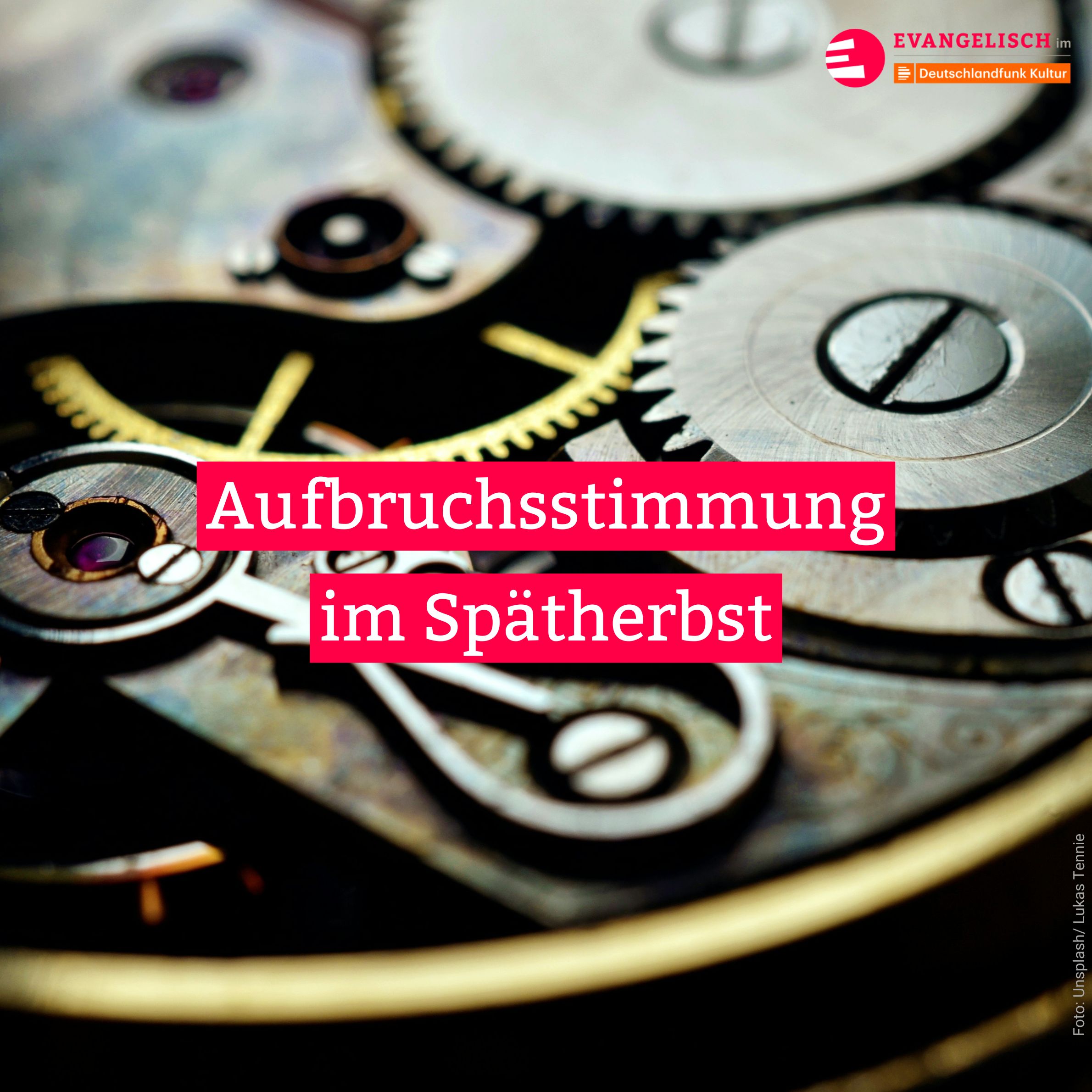 Aufbruchsstimmung im Spätherbst episode artwork