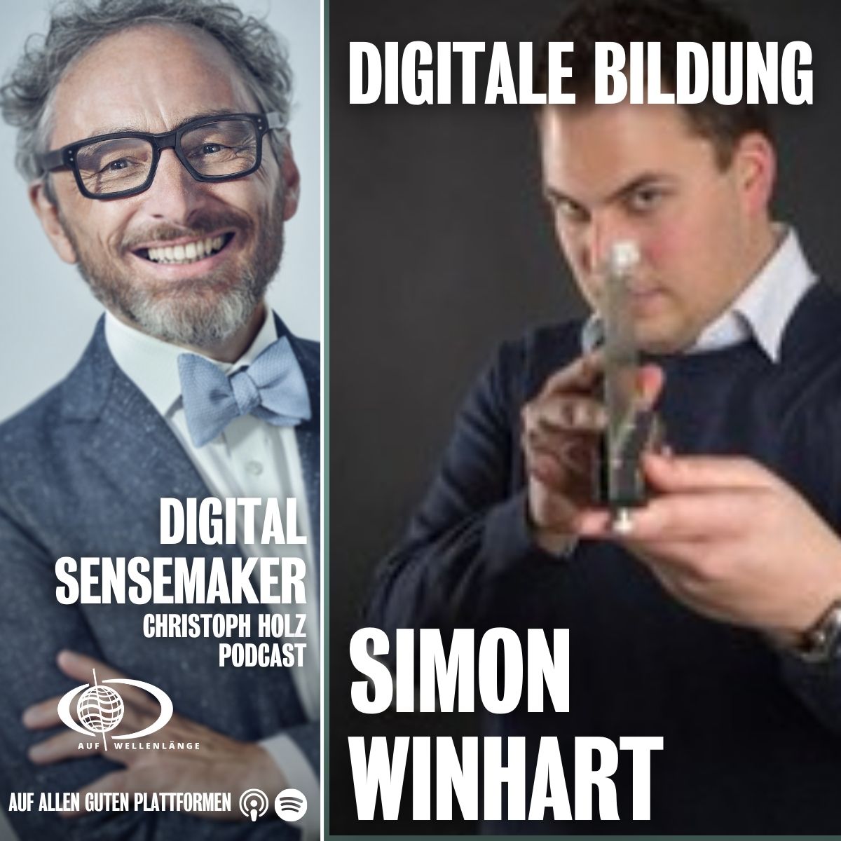 Digital Sensemaker | Der Podcast für Digitalisierung & Zukunft