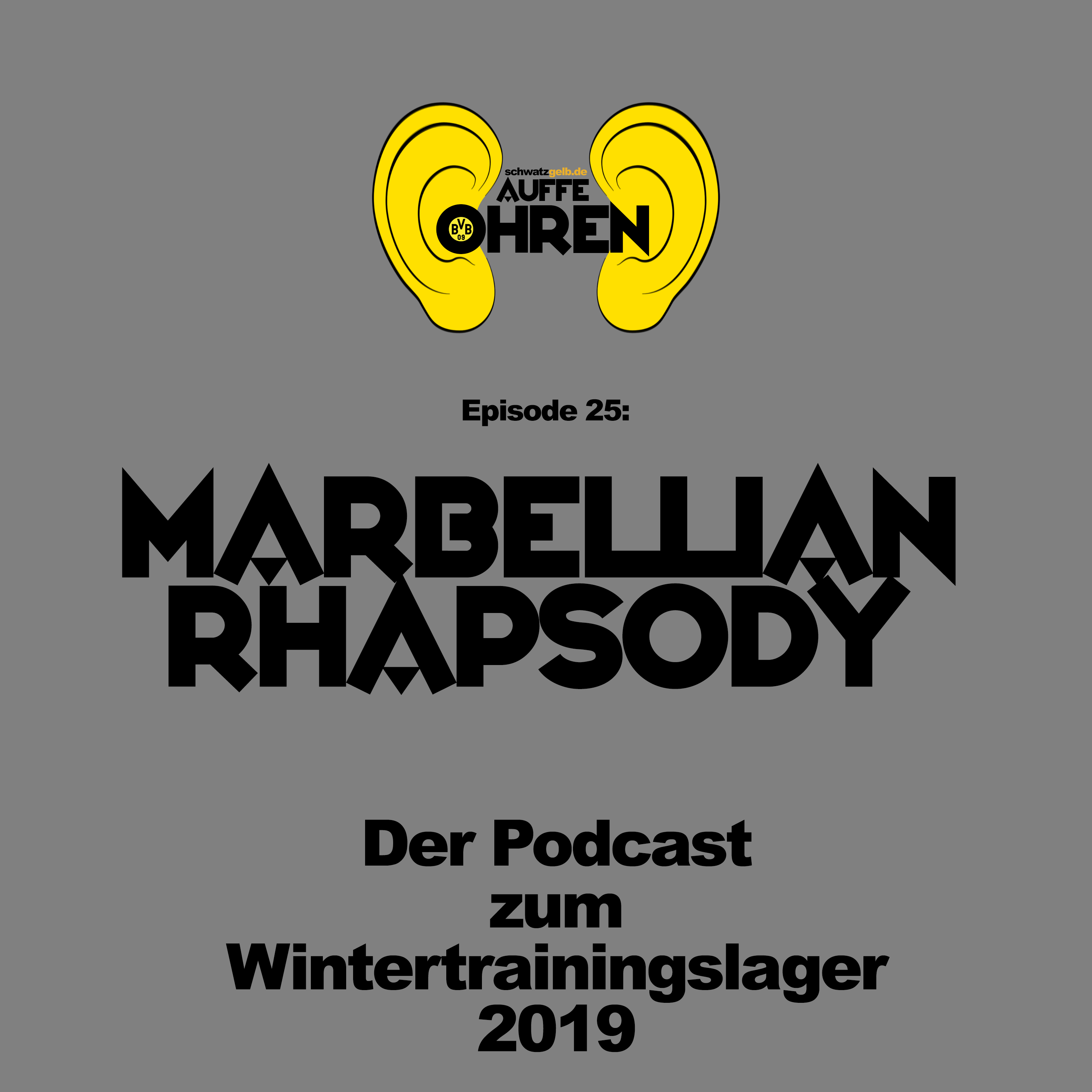 Auffe Ohren - Der BVB-Podcast von schwatzgelb.de