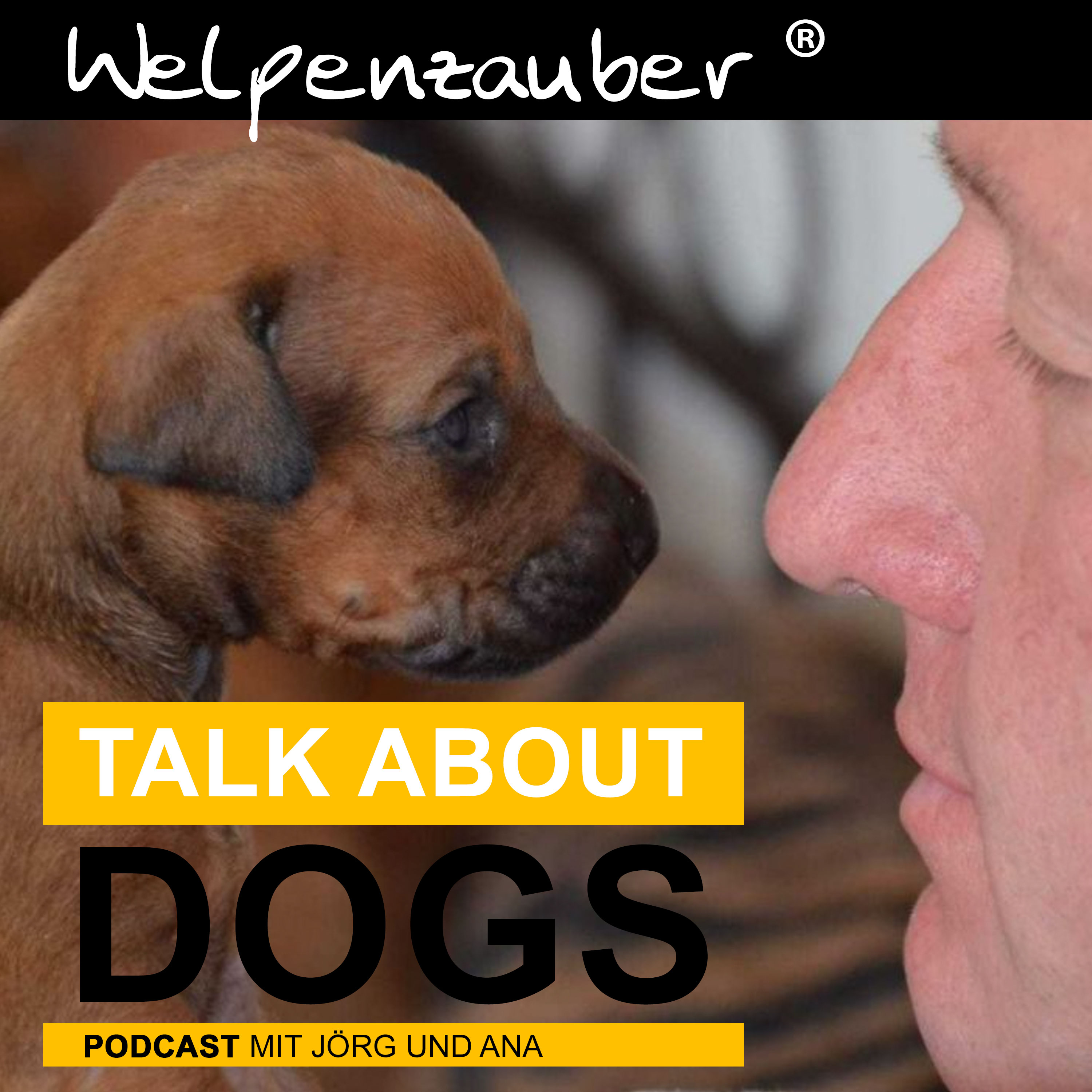 TALK ABOUT DOGS