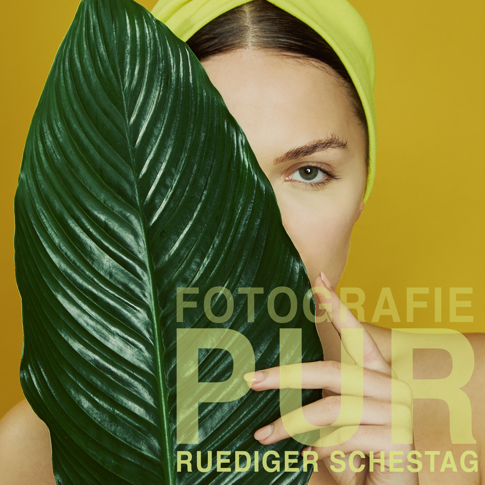 Fotografie Pur
