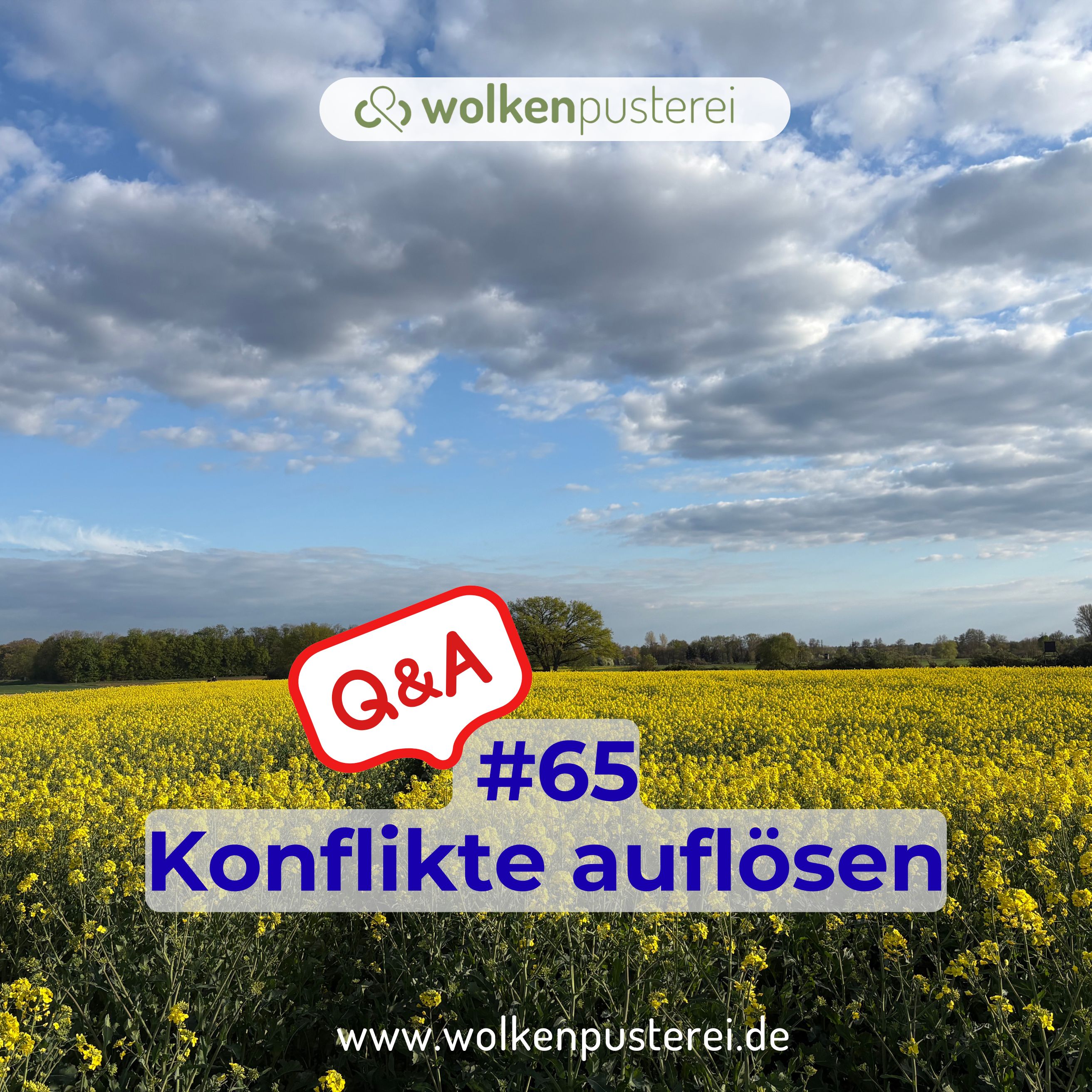 #65 Q&A Konflikte auflösen episode artwork