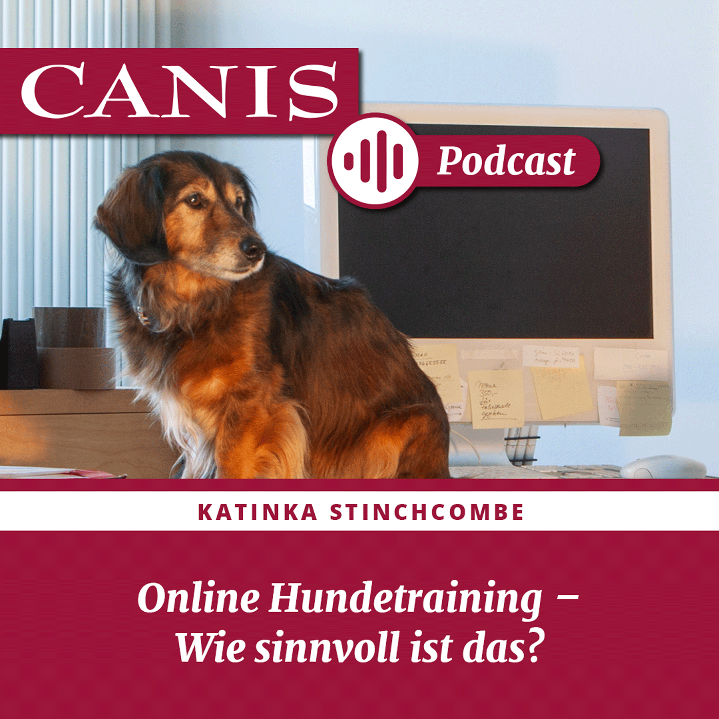Der CANIS-Podcast – Hundeexpert:innen ausgefragt