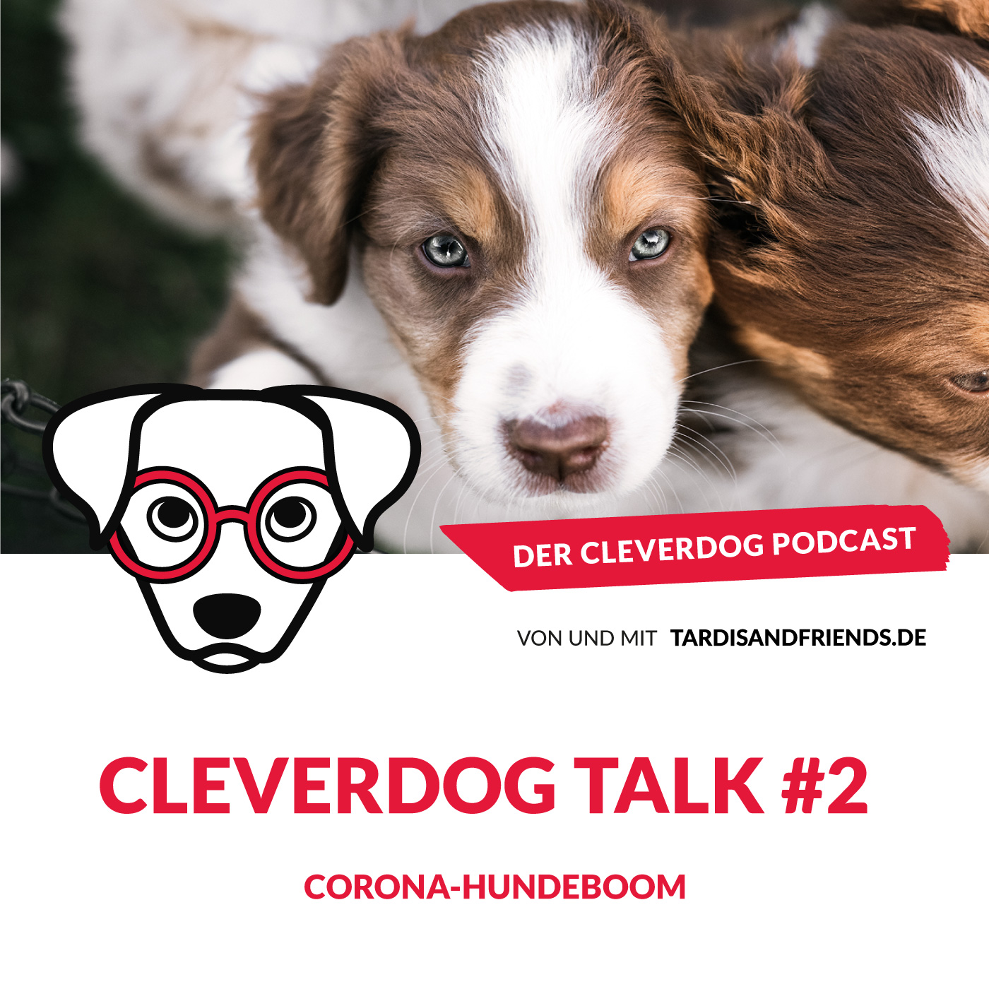 Der Cleverdog Podcast – mehr Wissen rund um den Hund!