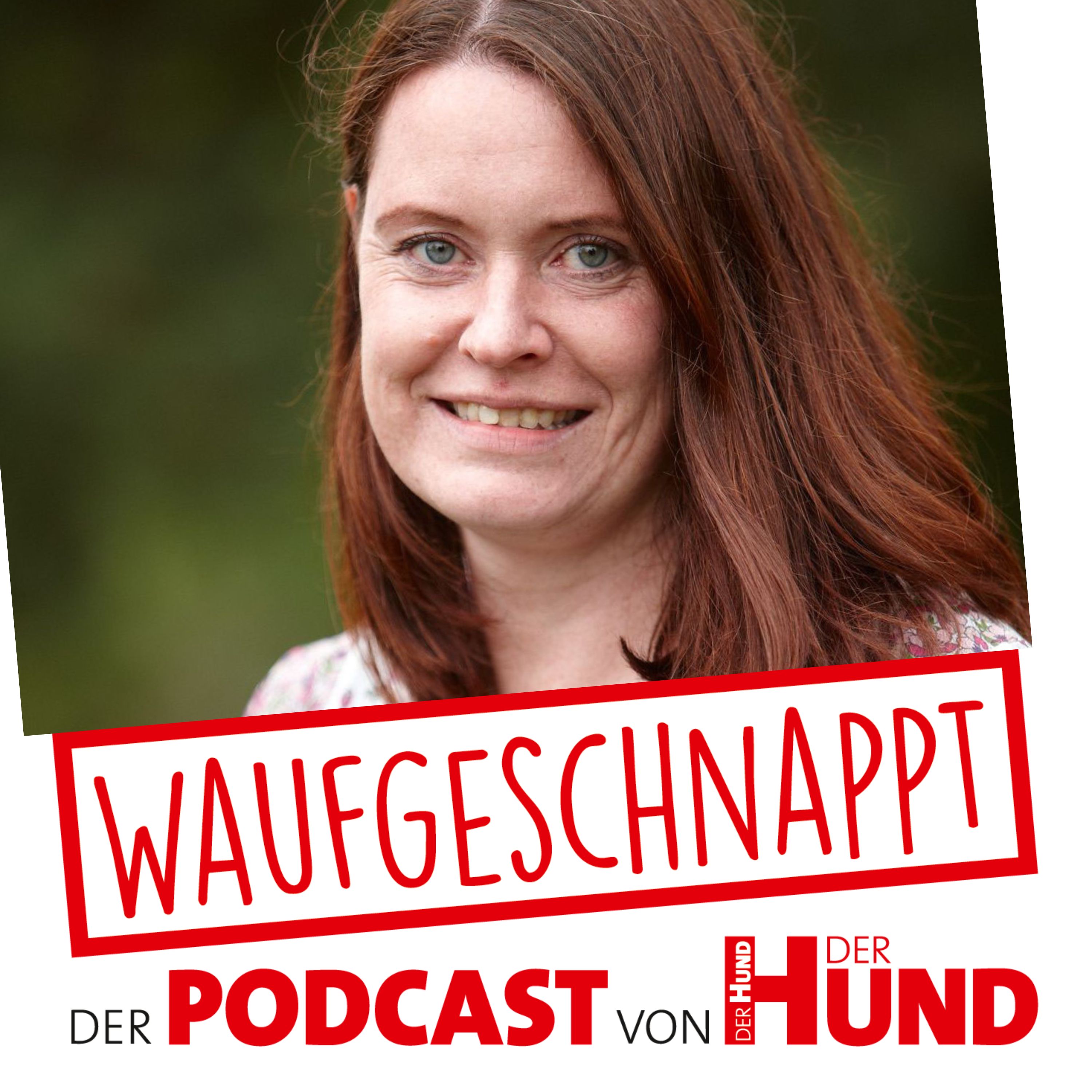 Trauma bei Hunden - Dr. Iris Mackensen-Friedrichs