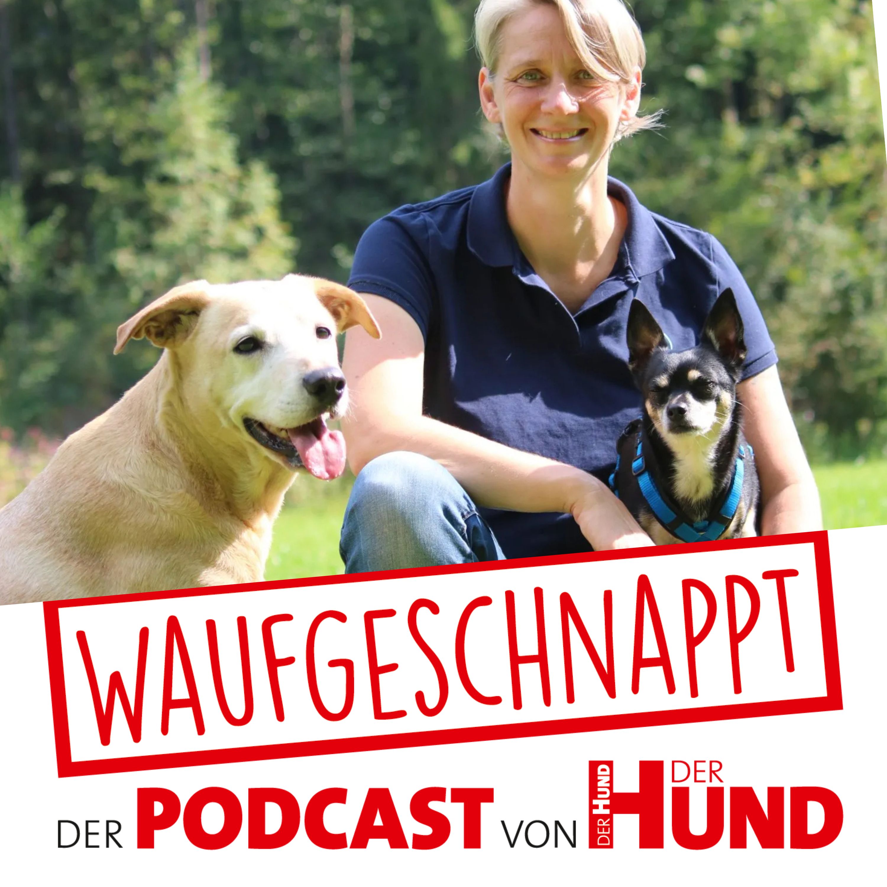 Waufgeschnappt - der Podcast von DER HUND