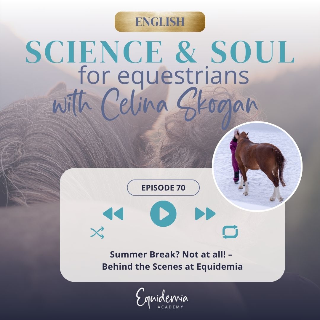 Horsefriends international