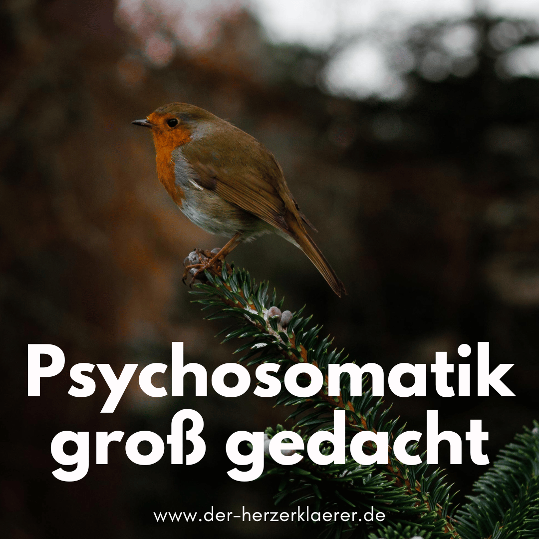 Der Herzerklärer