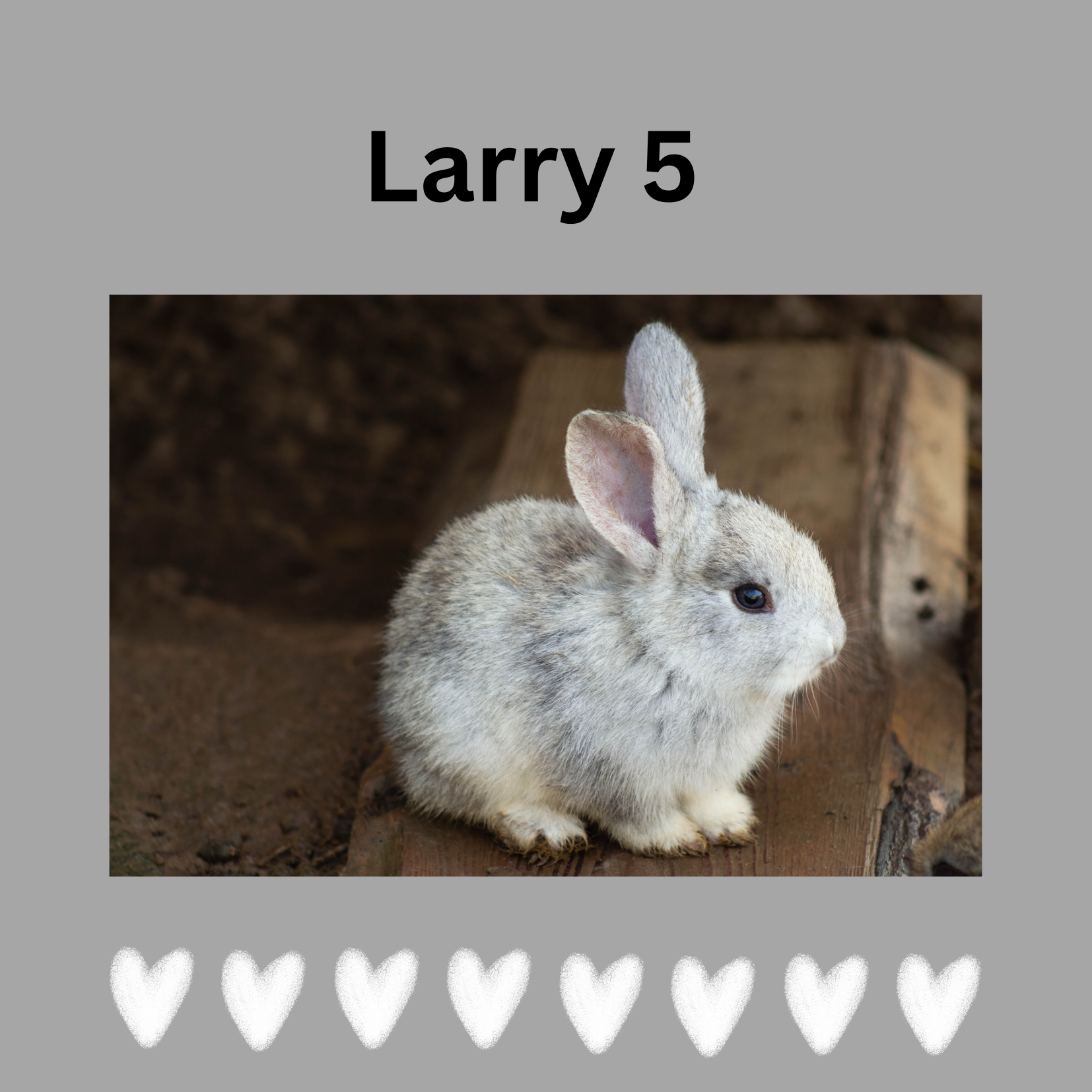 Friedenshamster Larry