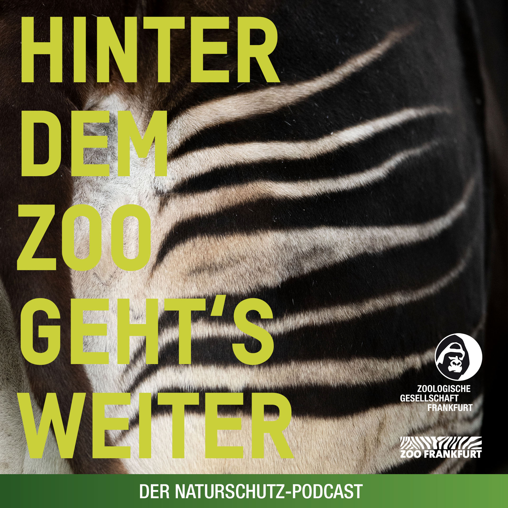 Hinter dem Zoo geht\'s weiter - Der Naturschutzpodcast aus Frankfurt