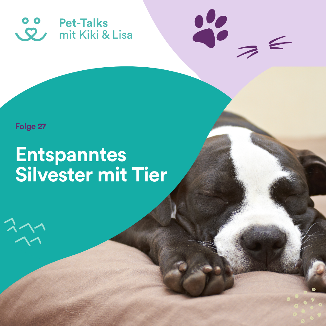 Pet-Talks mit Kiki & Lisa - der Hunde-Podcast von DeineTierwelt