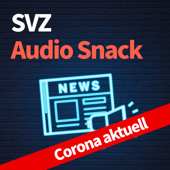 SVZ Audio Snack
