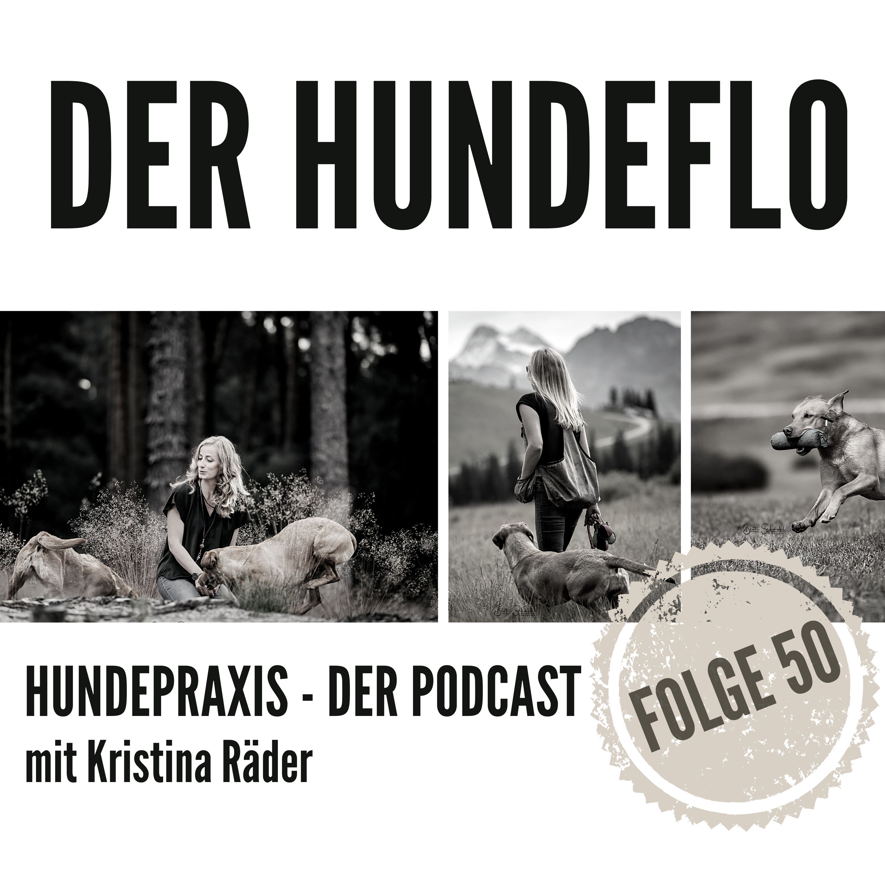 Hundepraxis - der Podcast