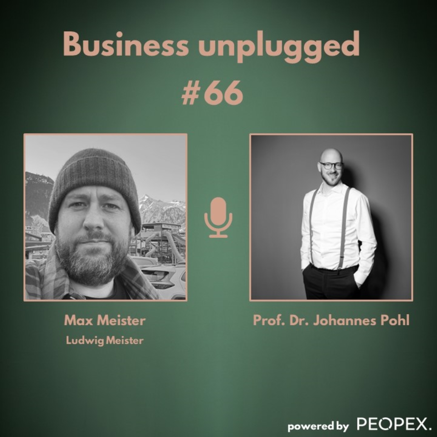 Business unplugged - Menschen, Unternehmen und Aspekte der Digitalisierung