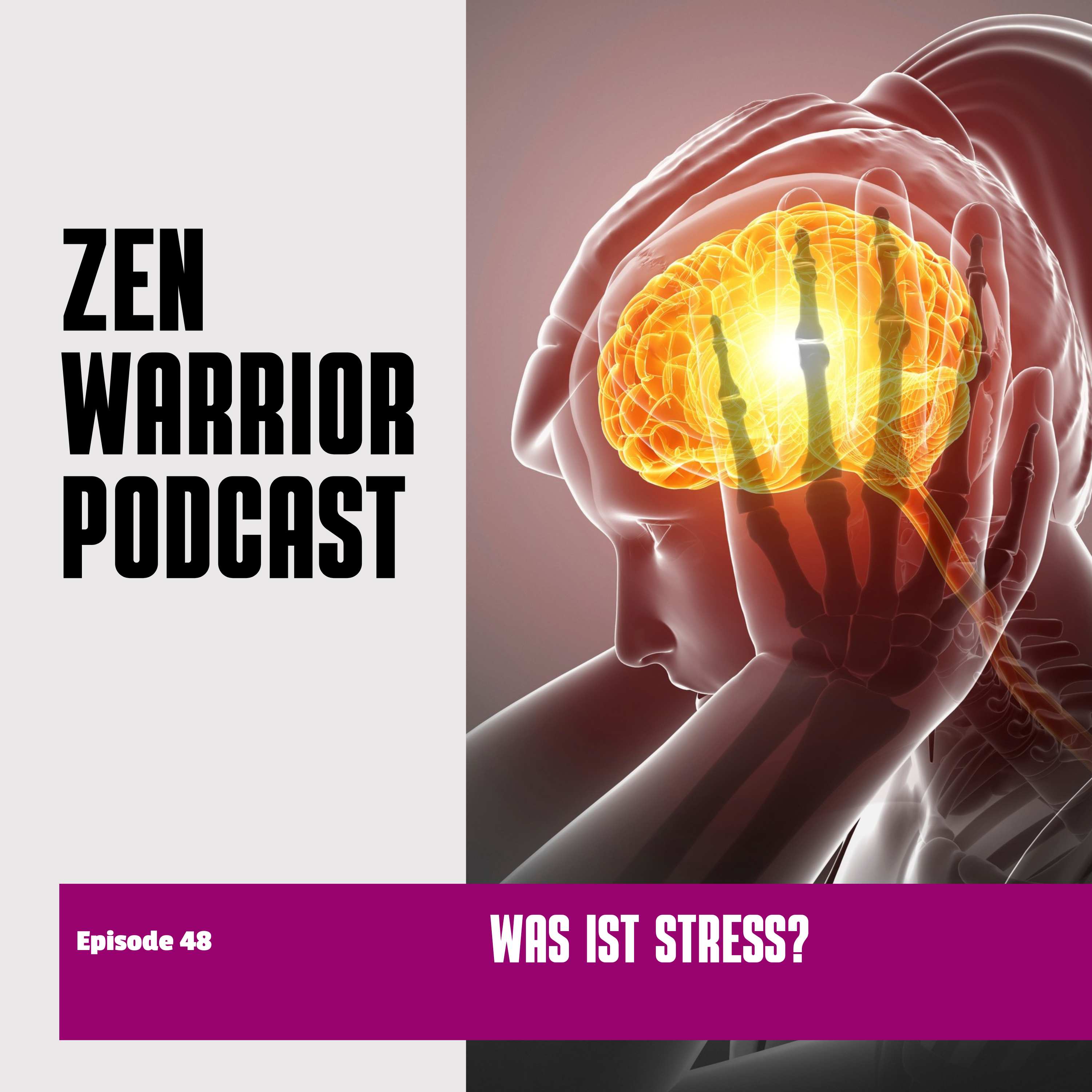 The Zen Warrior Podcast