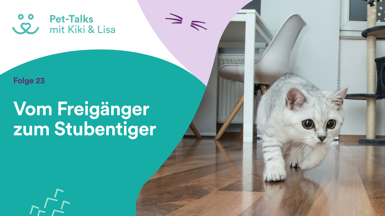 Pet-Talks mit Kiki & Lisa - der Hunde-Podcast von DeineTierwelt