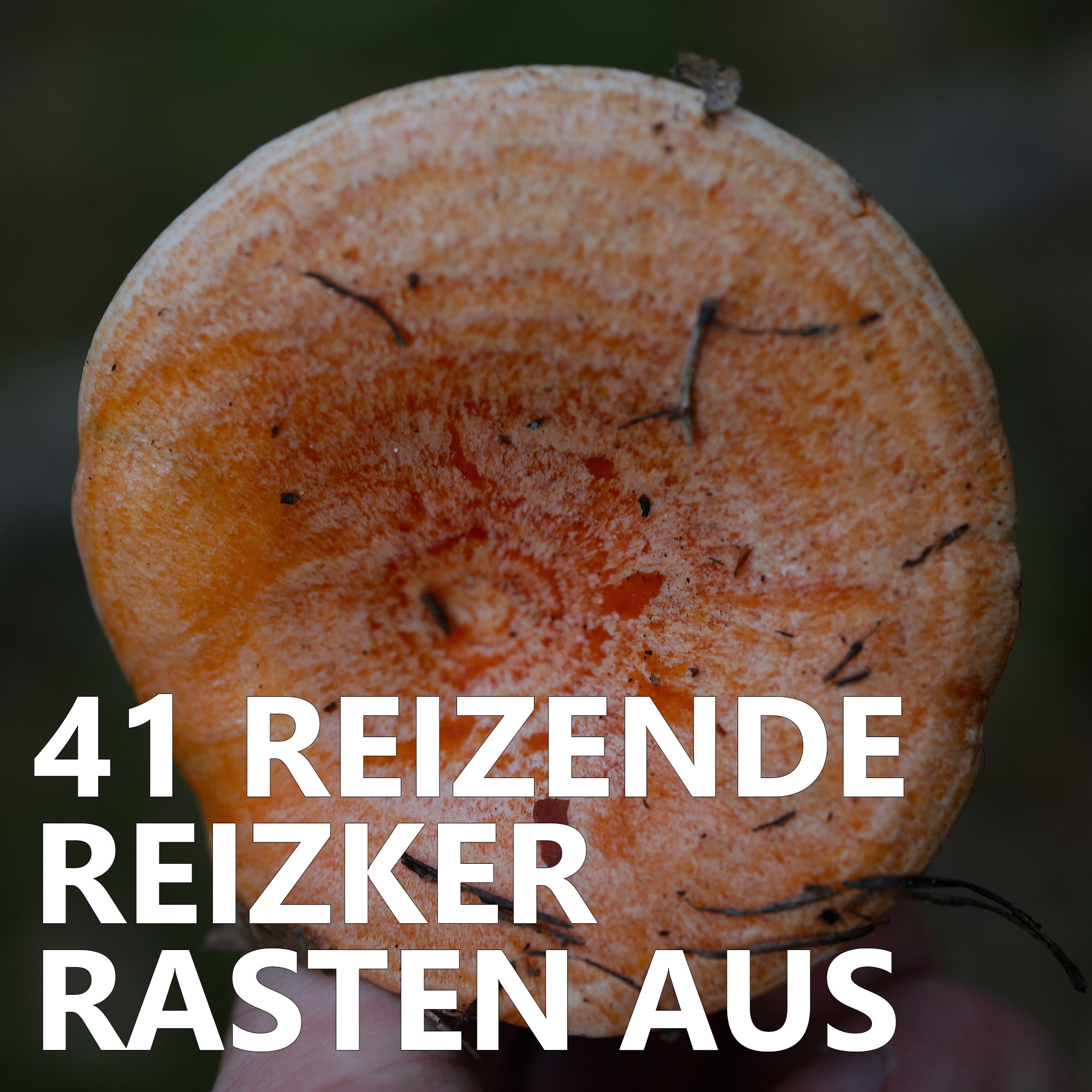 Der Pilzpodcast