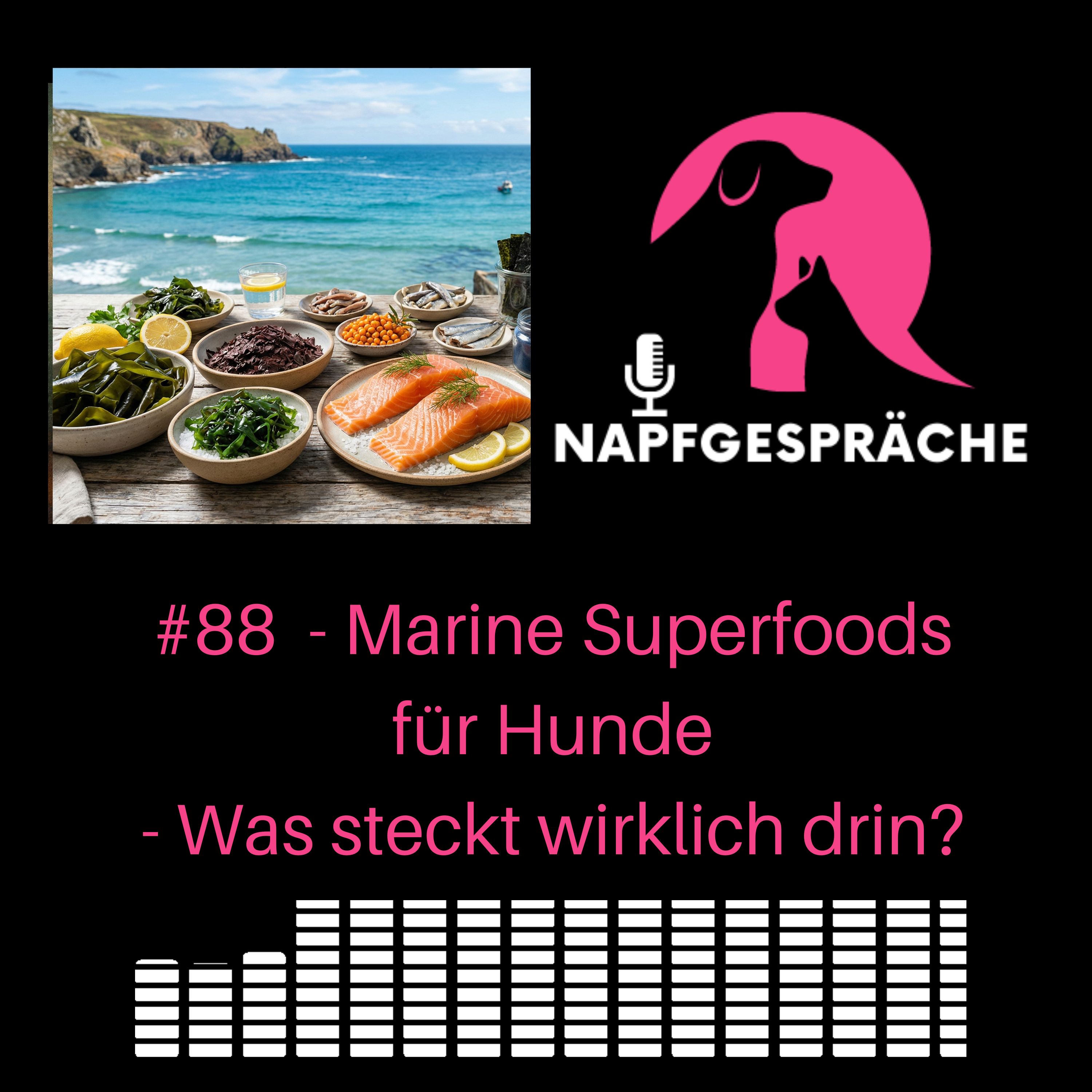 Napfgespräche - Experten über Ernährung von Hunden und Katzen und smarte Supplemente