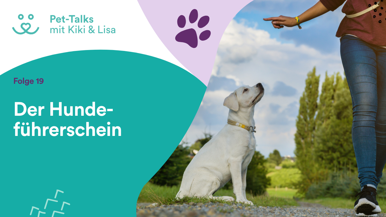 Pet-Talks mit Kiki & Lisa - der Hunde-Podcast von DeineTierwelt