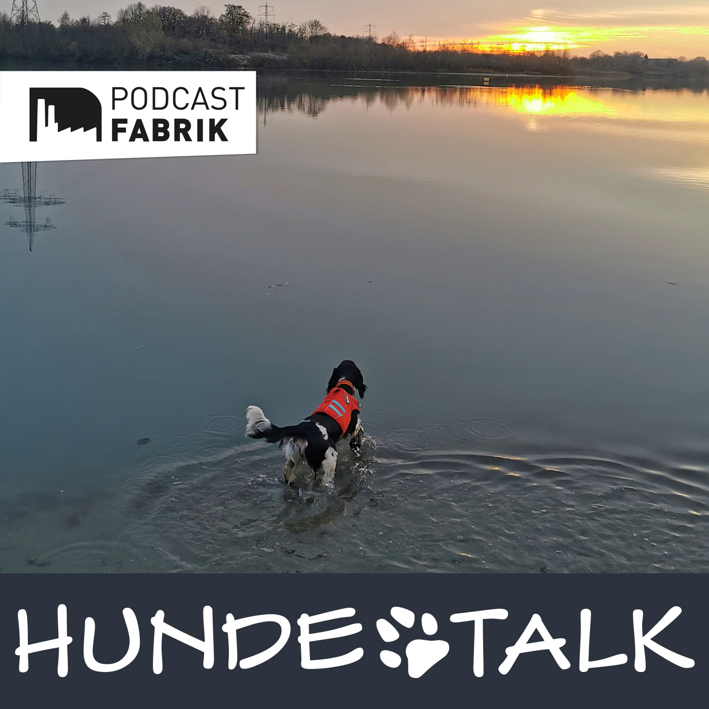 HUNDETALK - Dein Hunderunde-Podcast