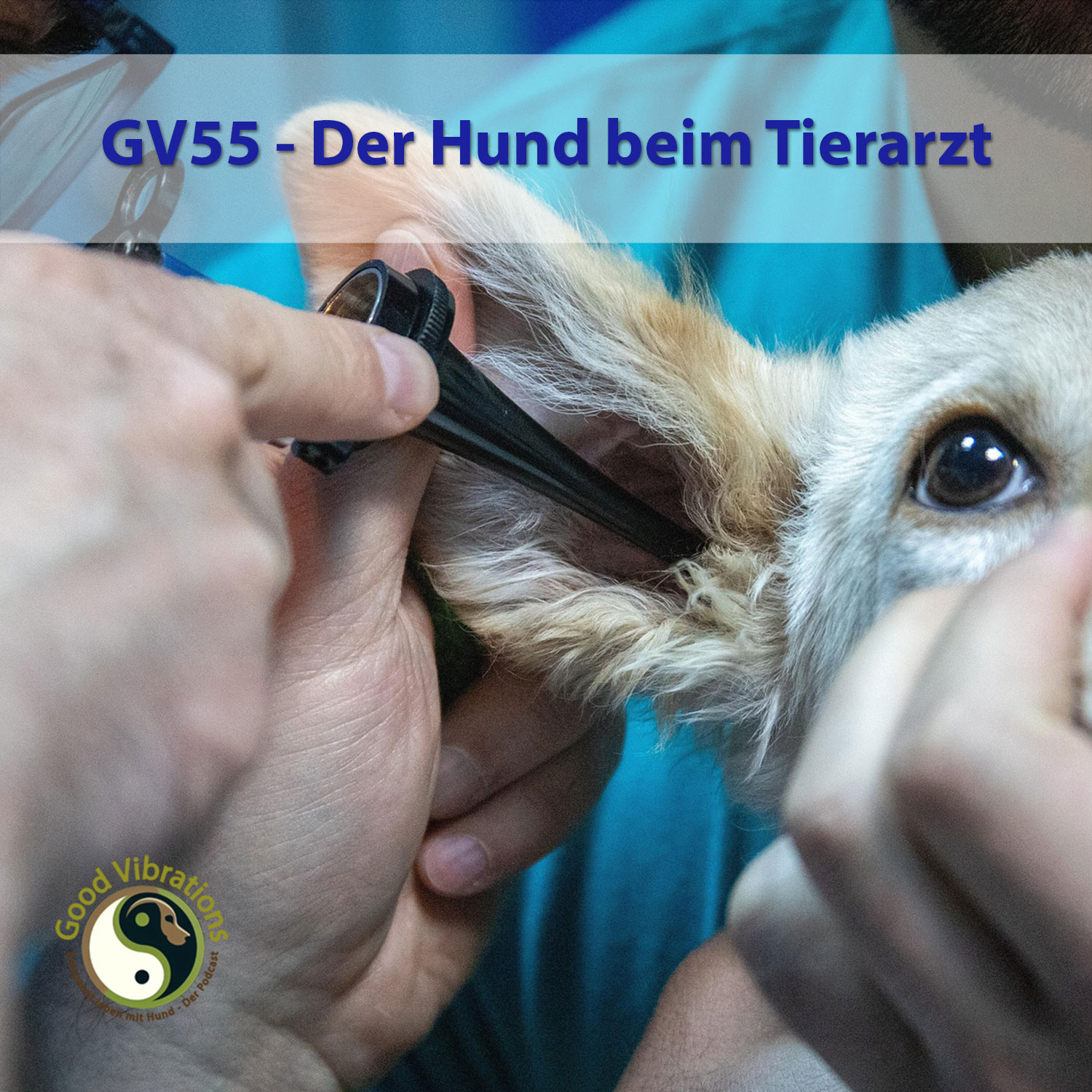Good Vibrations. Entspannt leben mit Hunden. Der Podcast.