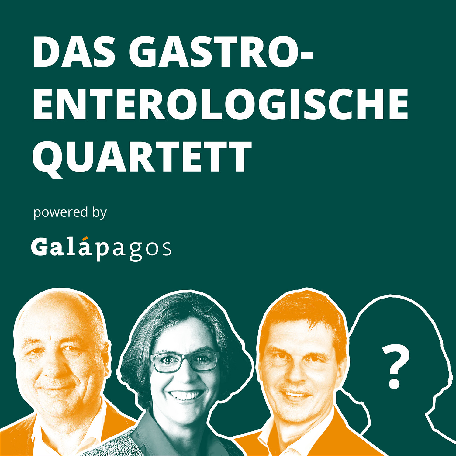 Das Gastroenterologische Quartett