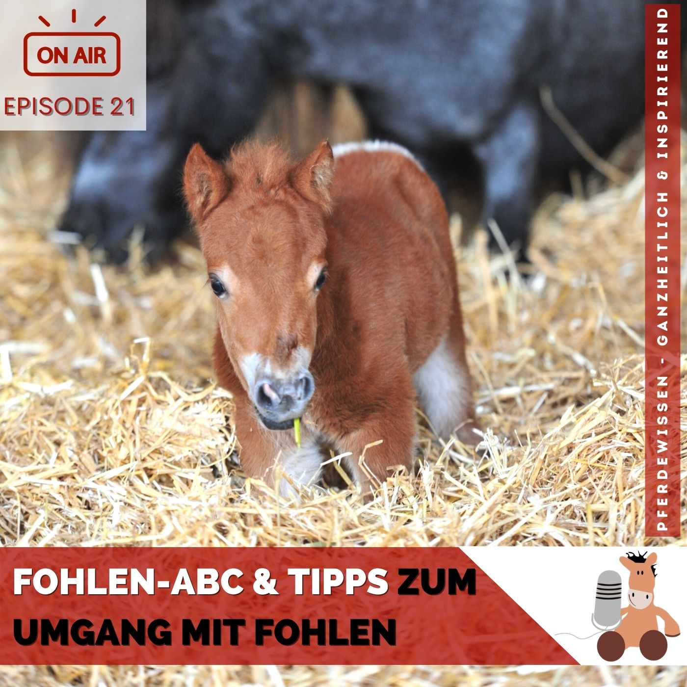 Pferdewissen - ganzheitlich & inspirierend mit Sandra Fencl