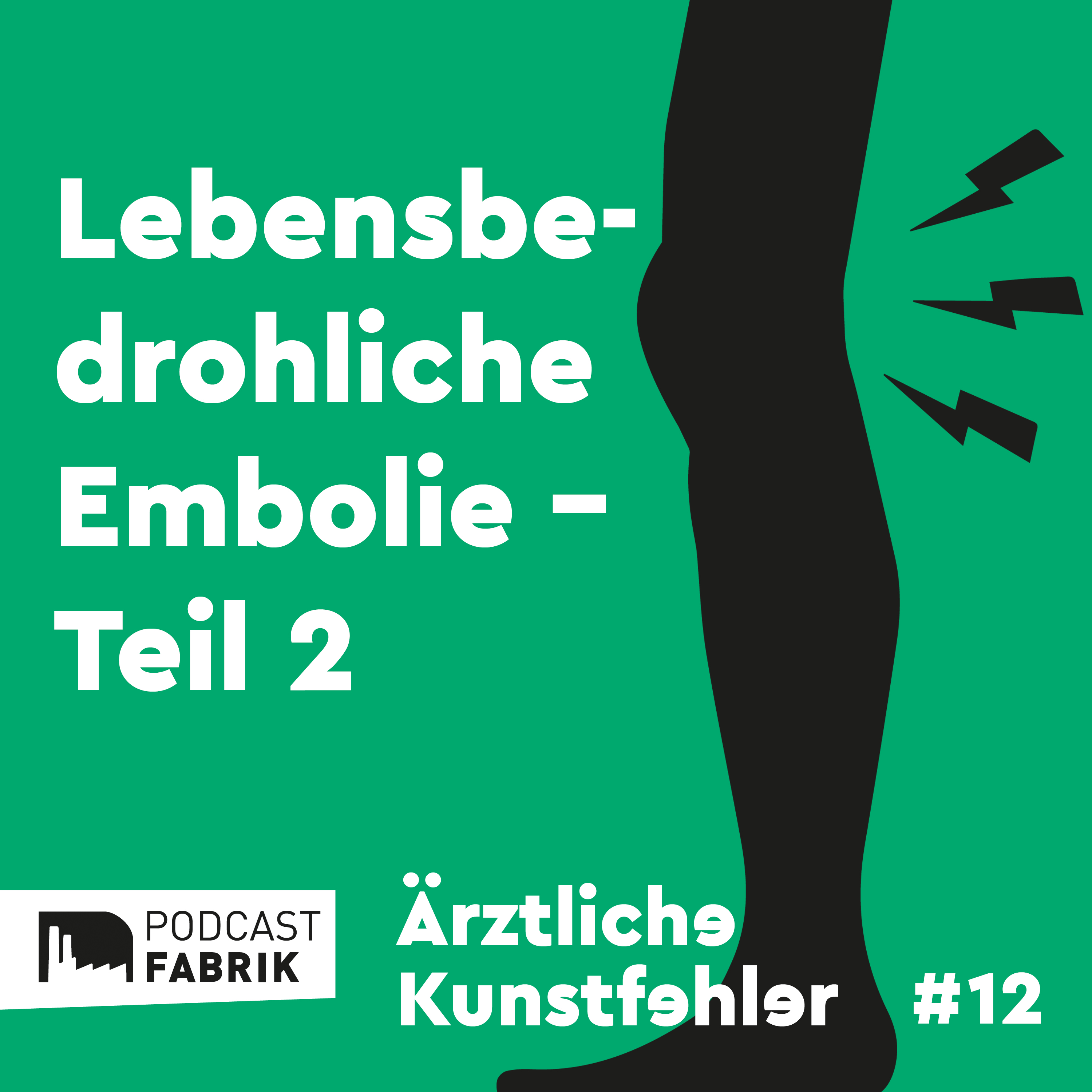 Ärztliche Kunstfehler und andere Medizingeschichten