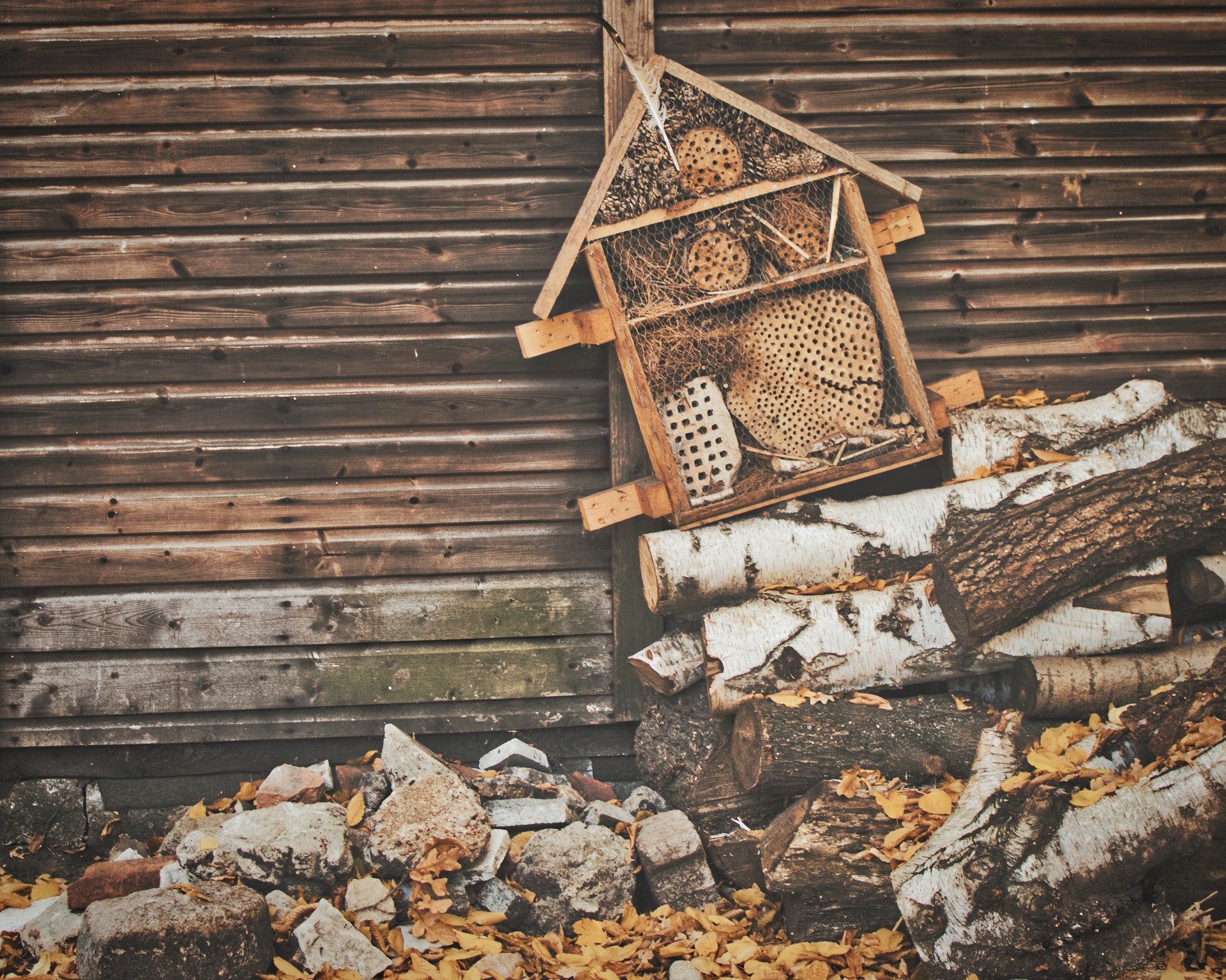 AUSGABE 23 - Insektenhotels und Wildbienen episode artwork