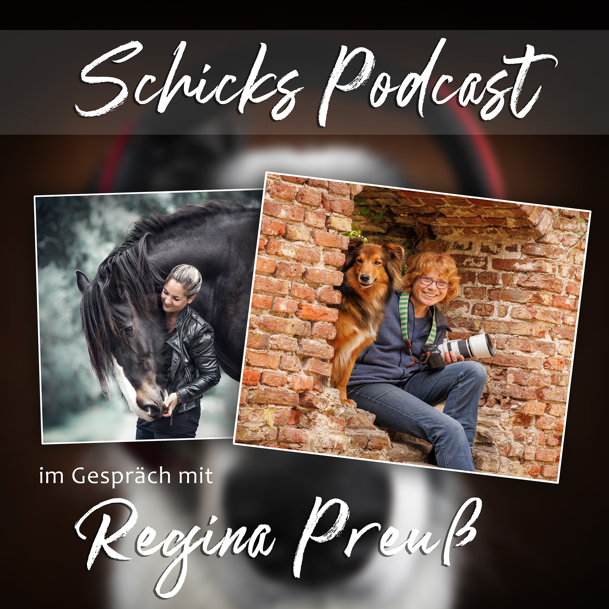Schick\'s Tierfotografie Podcast