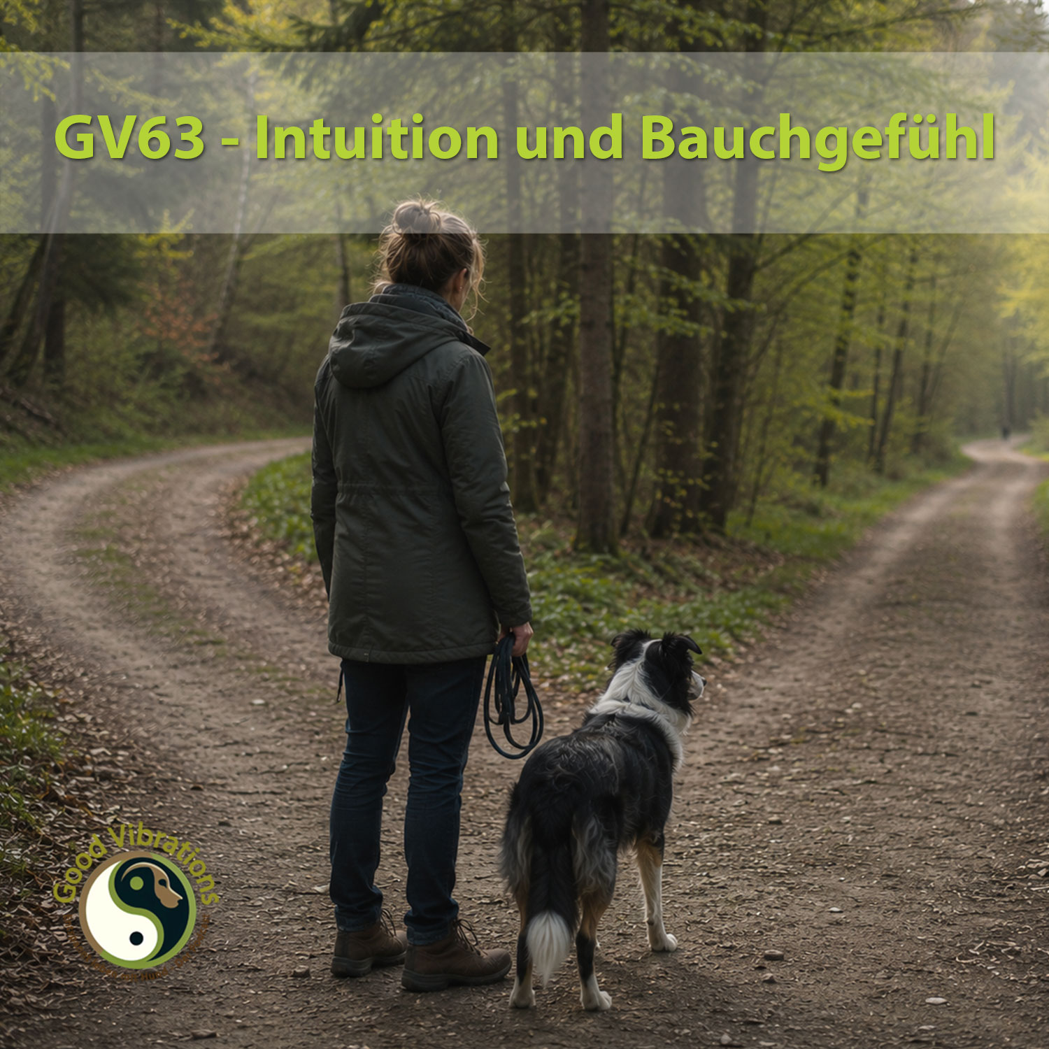 GV 63_Intuition episode artwork