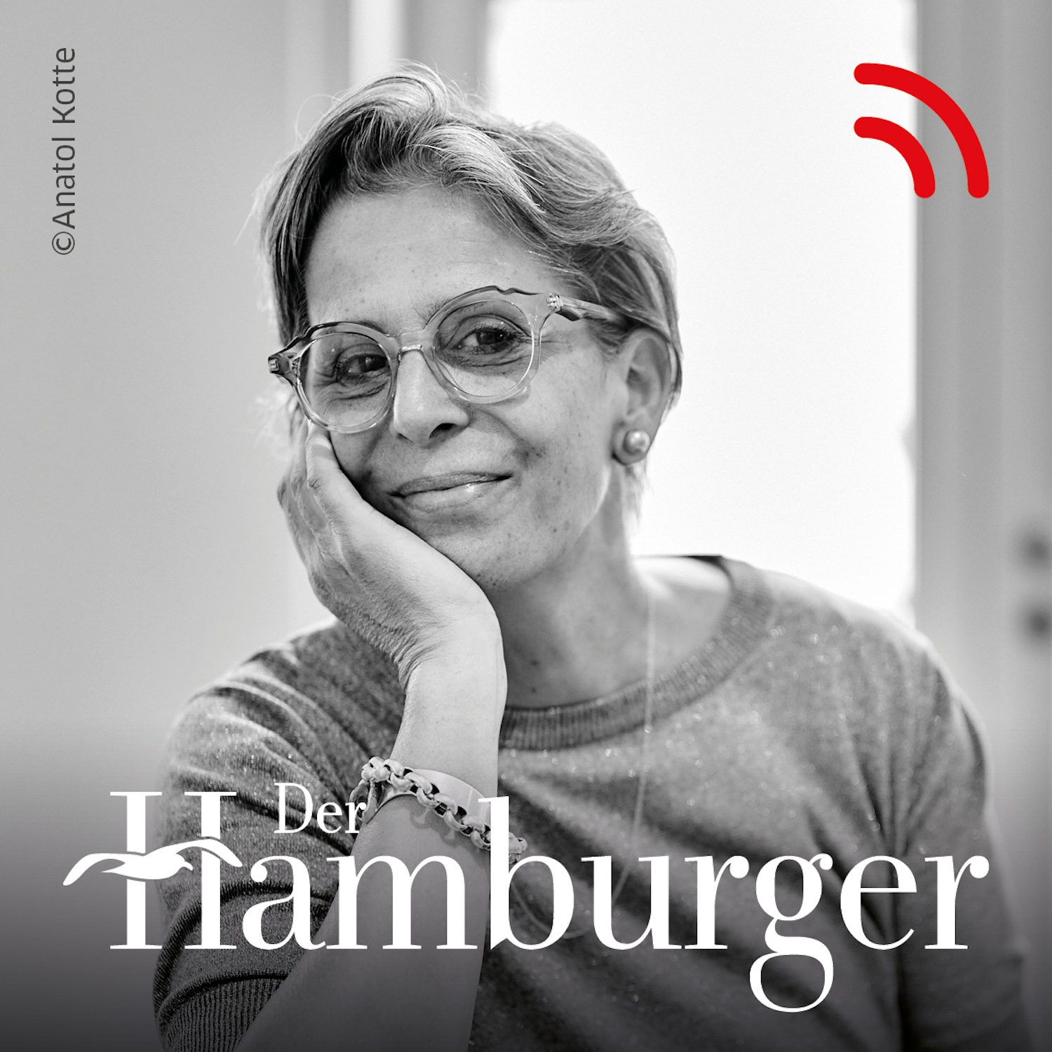 DER HAMBURGER Inside. Stimmen dieser Stadt