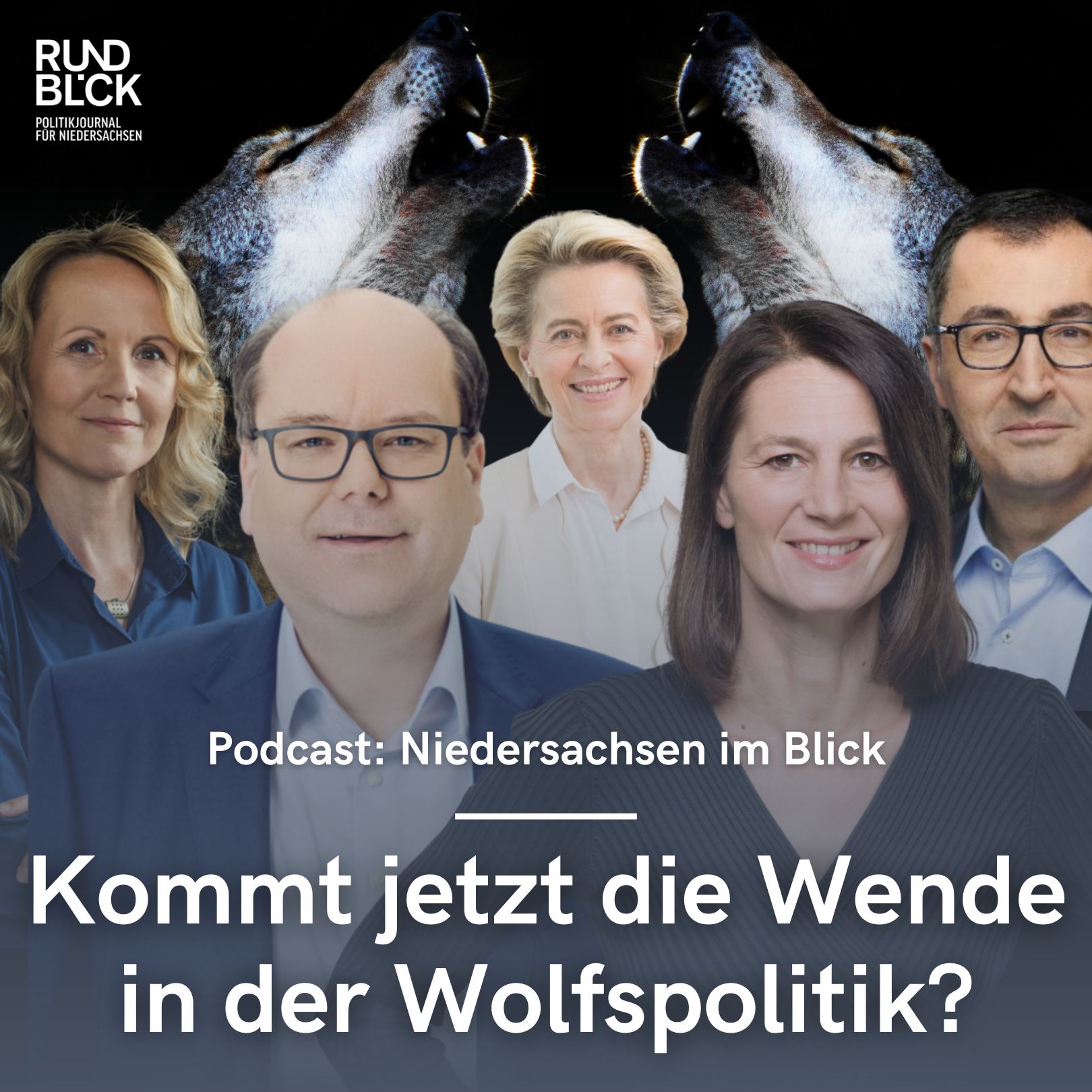 Niedersachsen im Blick