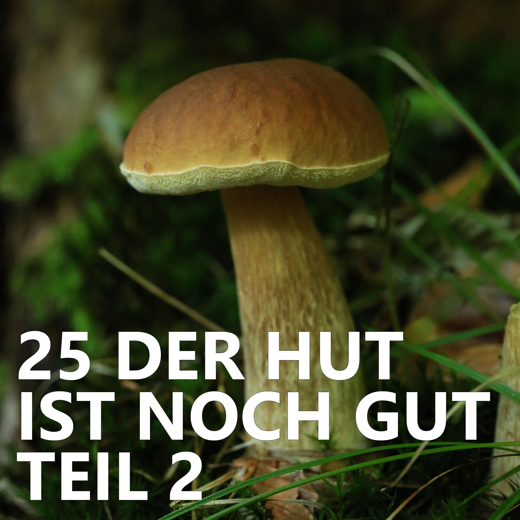 Der Pilzpodcast