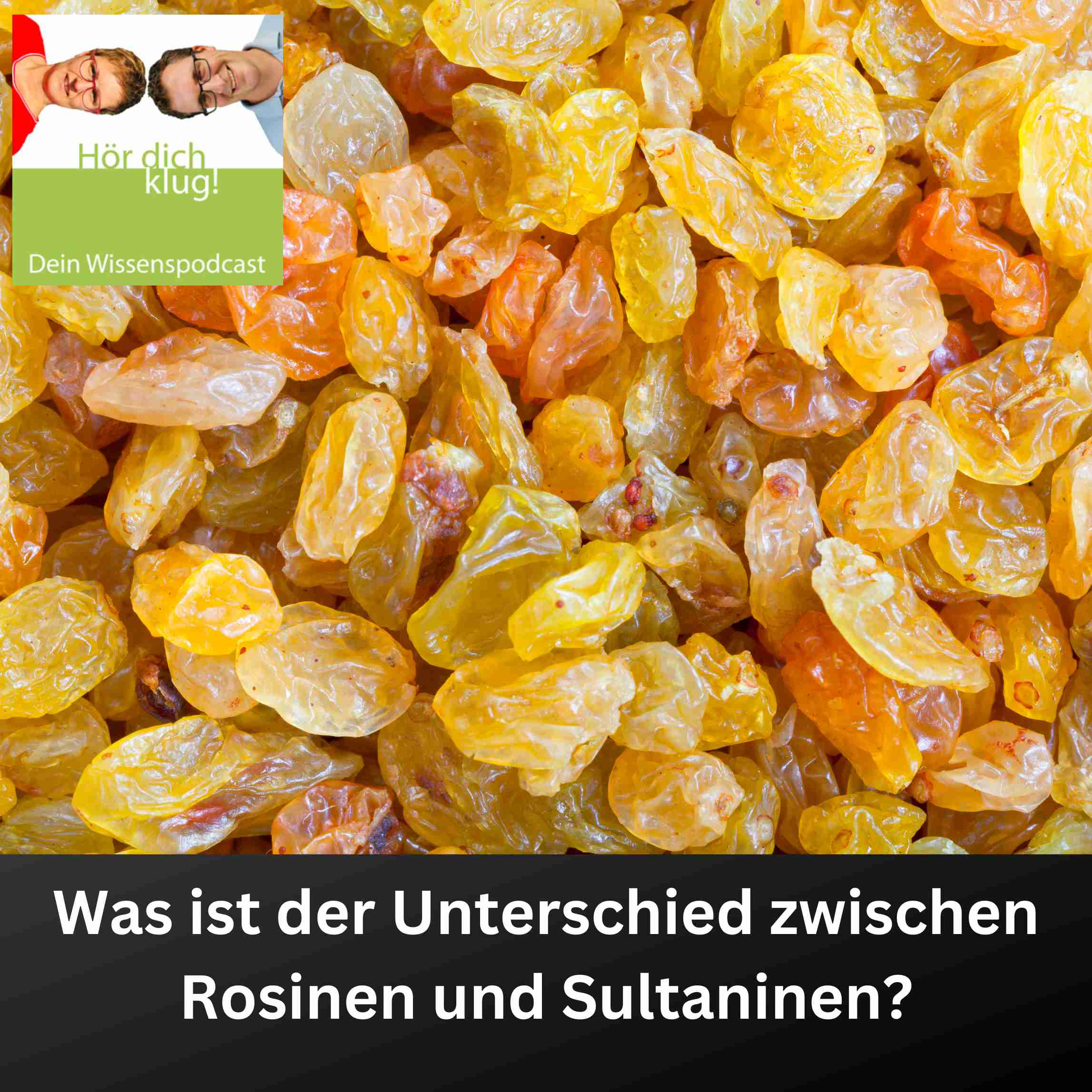 Hör dich klug! - Dein Wissenspodcast