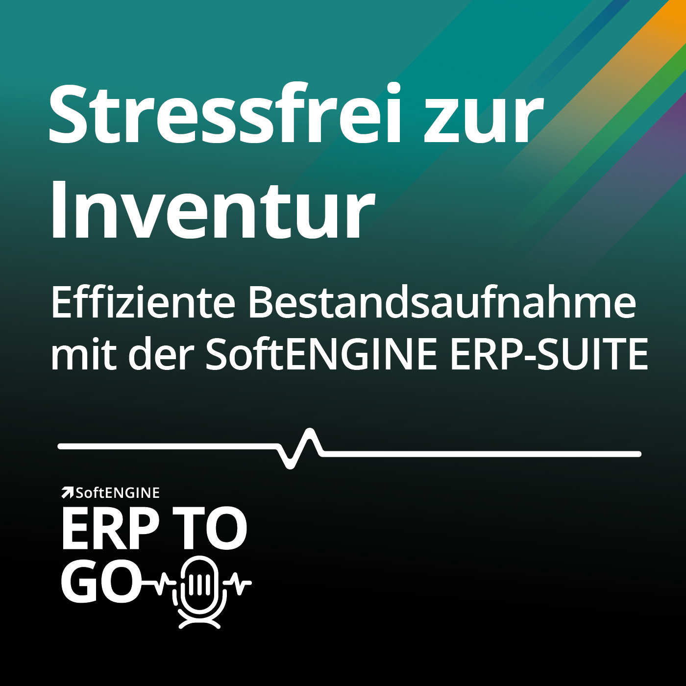 Stressfrei zur Inventur – Effiziente Bestandsaufnahme mit der SoftENGINE ERP-SUITE episode artwork