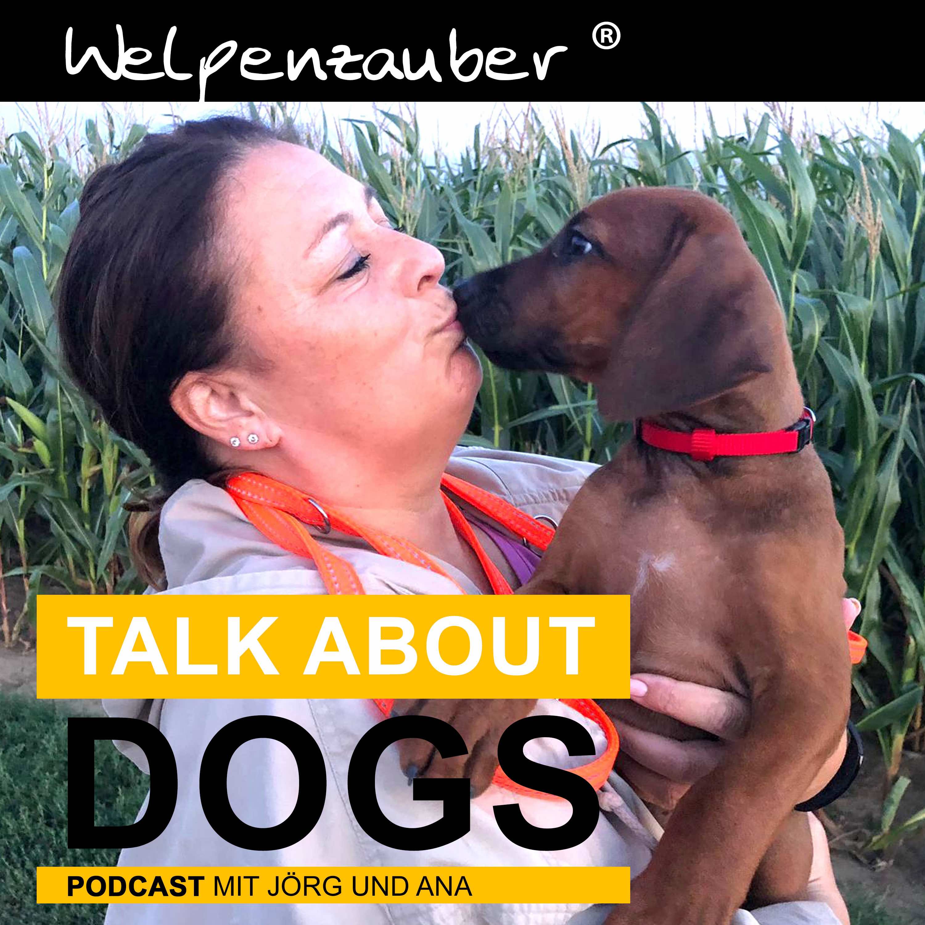 TALK ABOUT DOGS