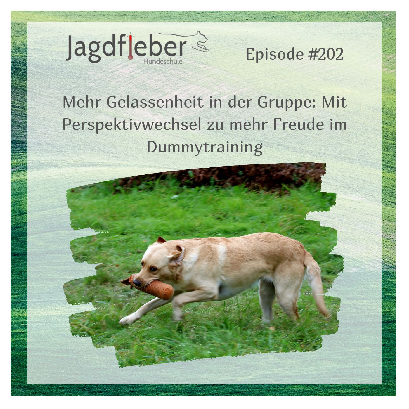 P202: Mehr Gelassenheit in der Gruppe: Mit Perspektivwechsel zu mehr Freude im Dummytraining episode artwork
