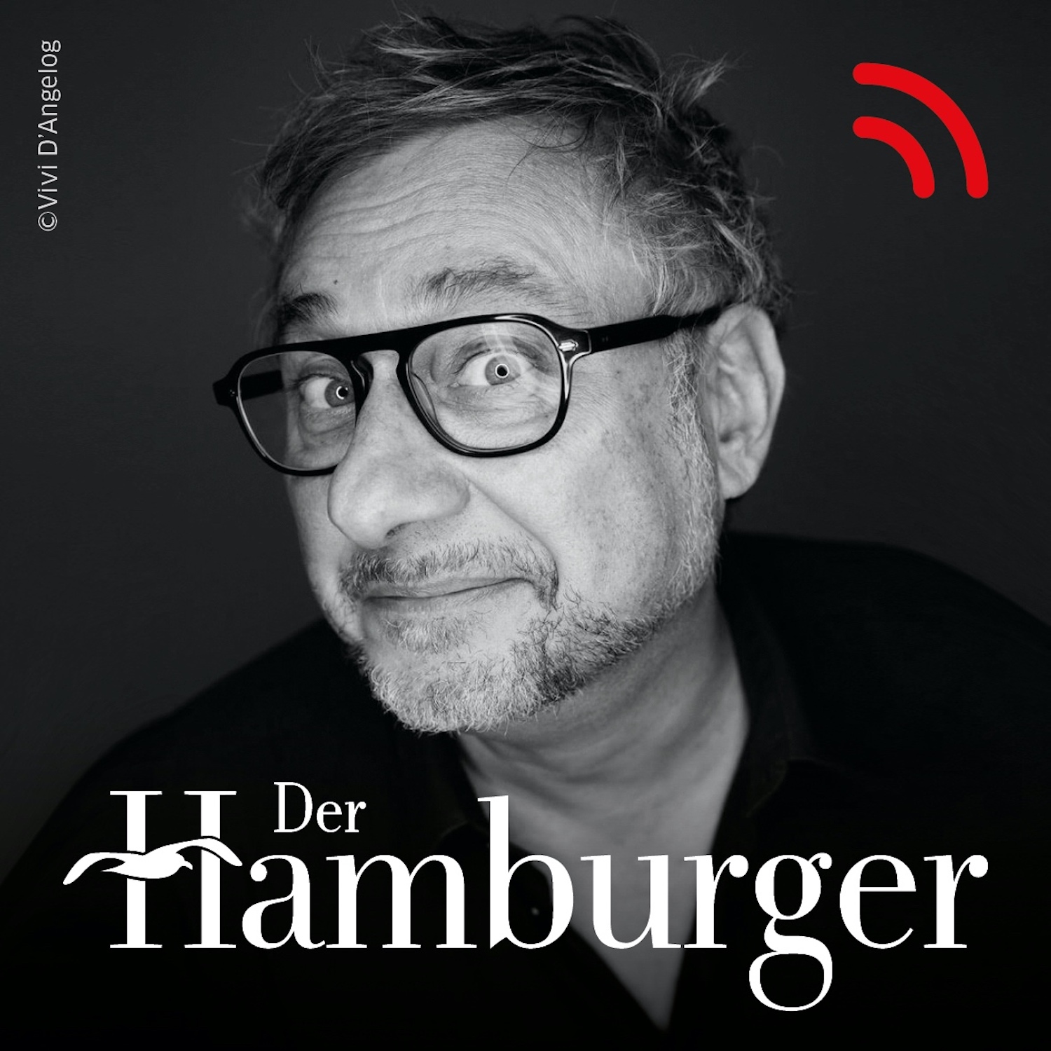 DER HAMBURGER Inside. Stimmen dieser Stadt