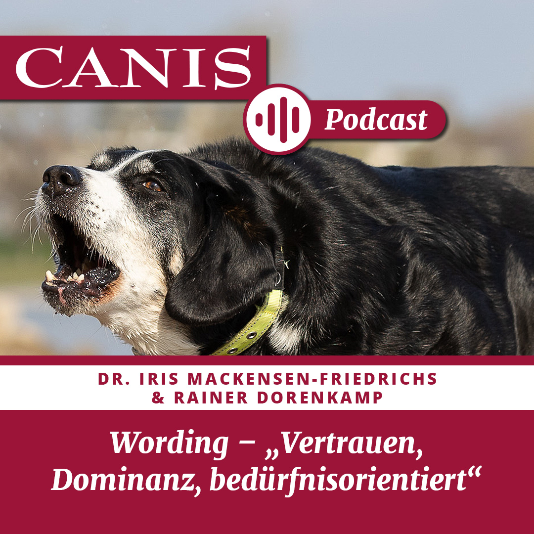 Der CANIS-Podcast – Hundeexpert:innen ausgefragt