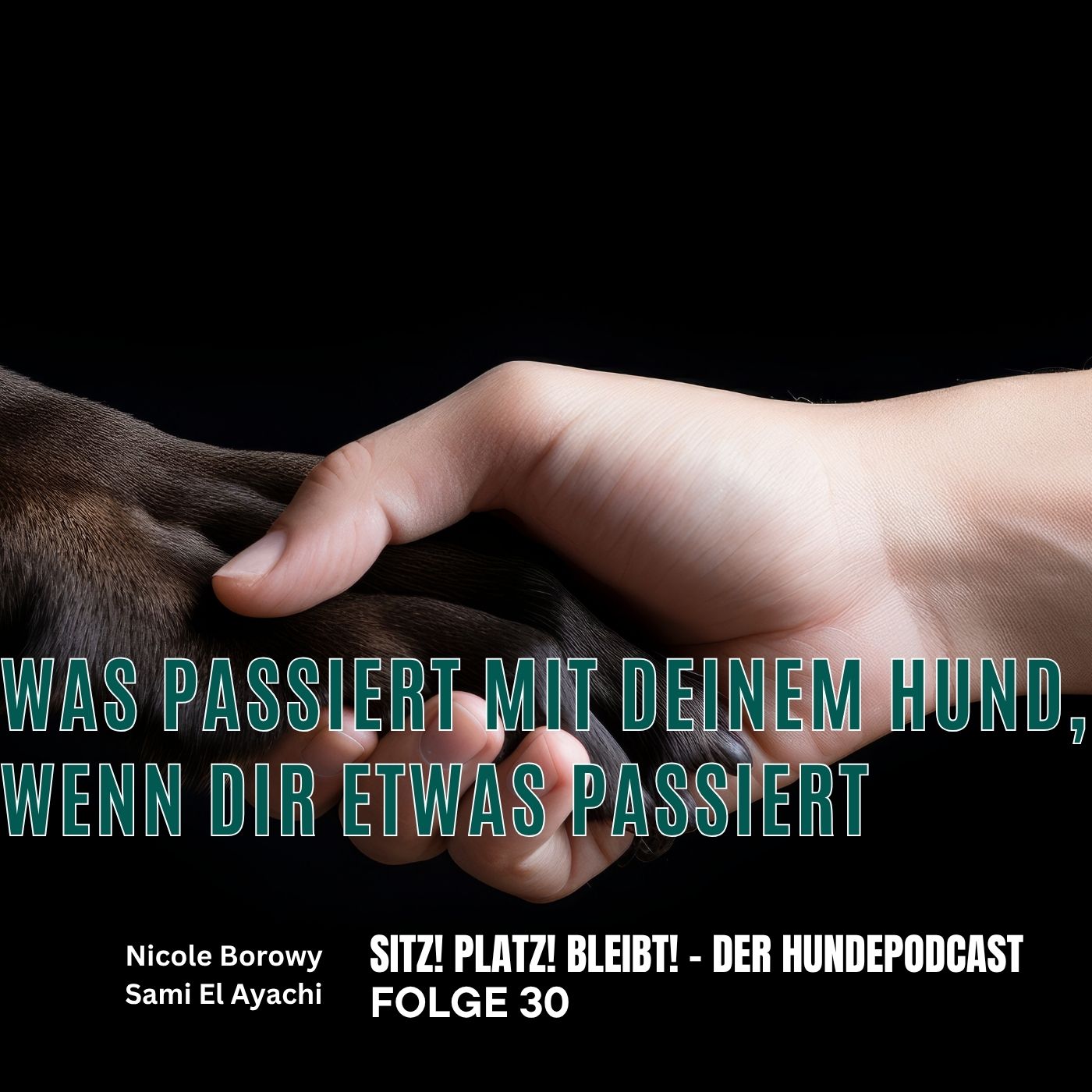 #30 Was passiert mit deinem Hund, wenn dir etwas passiert