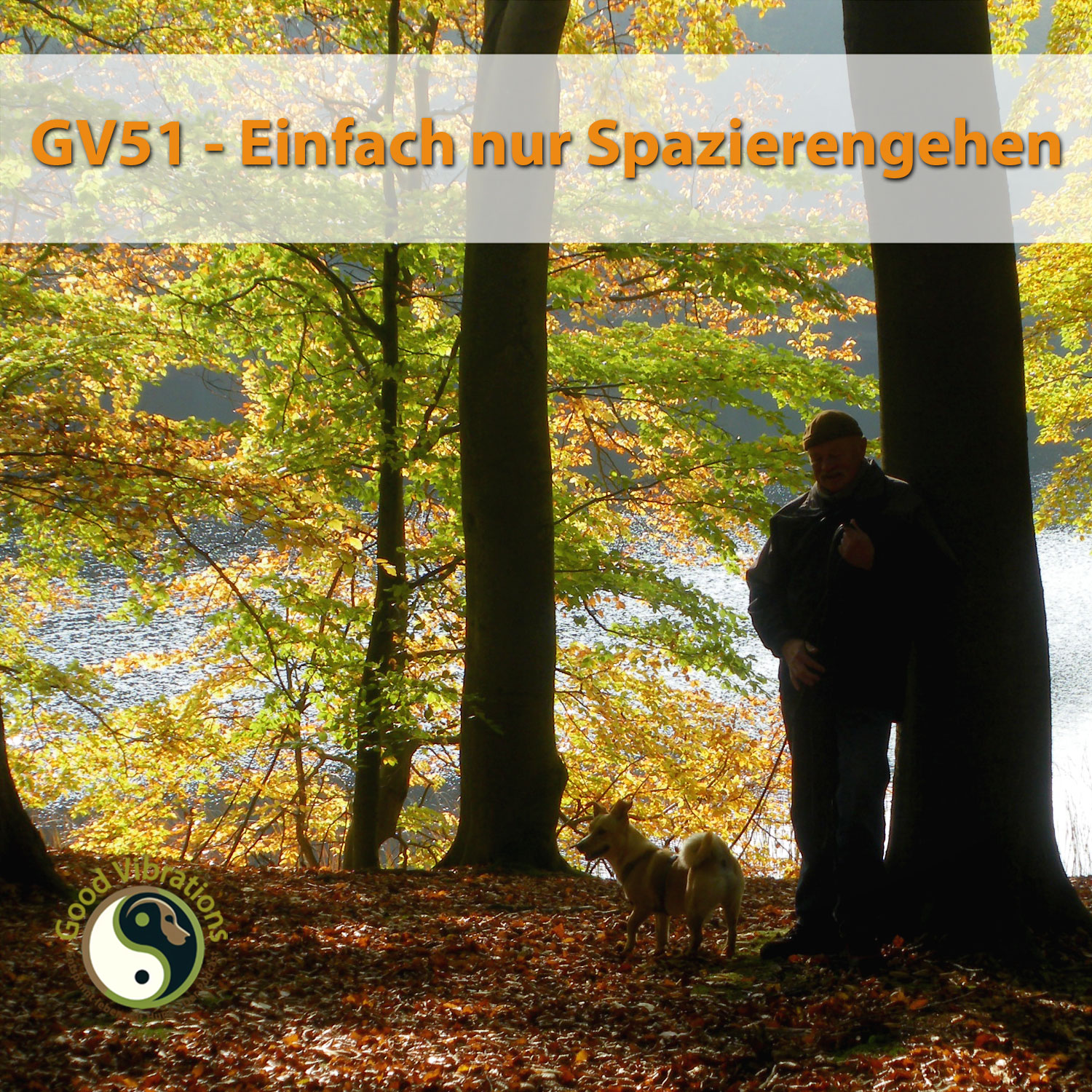 Good Vibrations. Entspannt leben mit Hunden. Der Podcast.