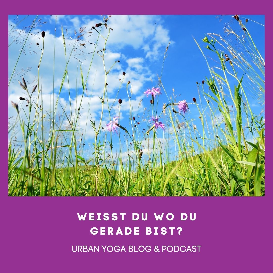urban yoga podcast