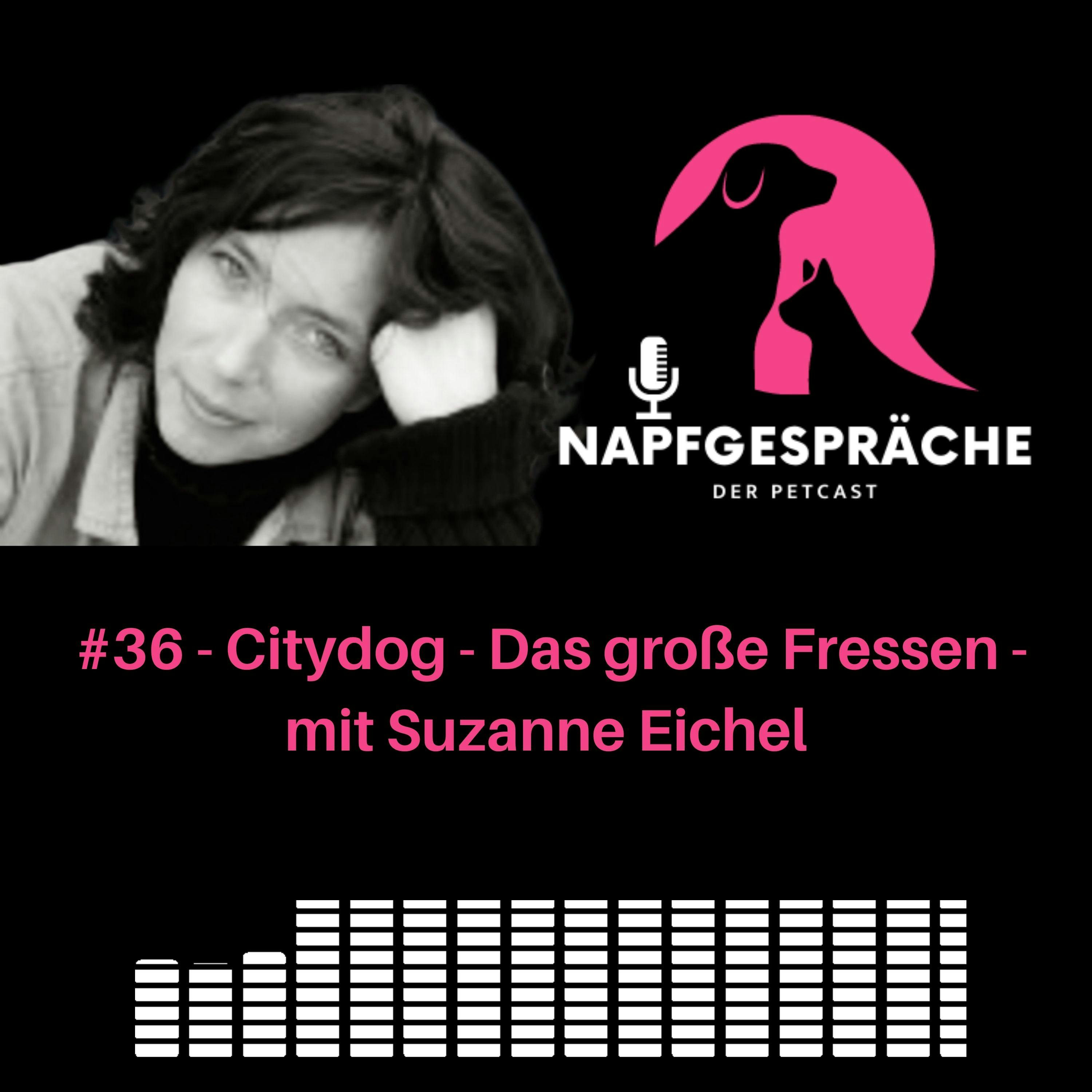 Napfgespräche - Die Experten für Ernährung und Supplemente für Hunde und Katzen