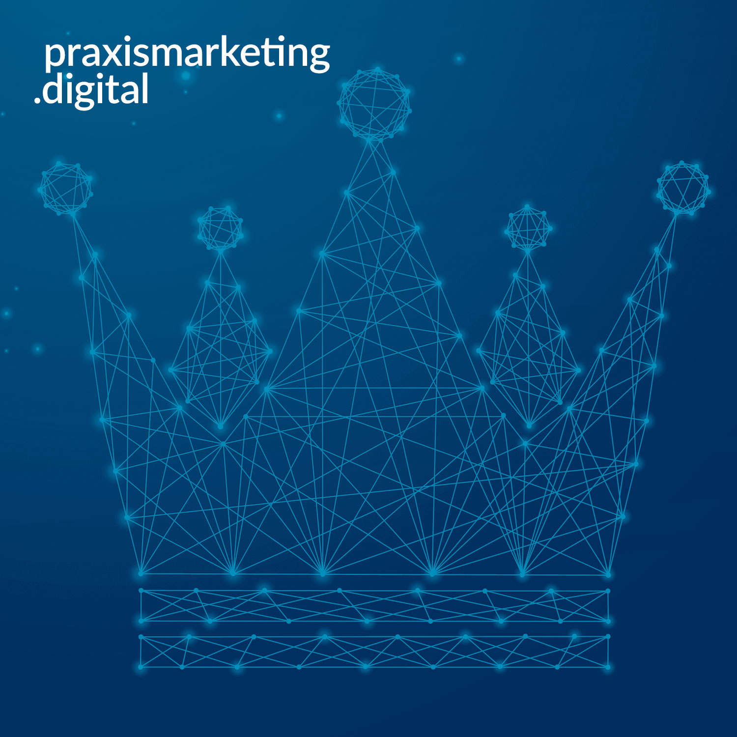 praxismarketing.digital