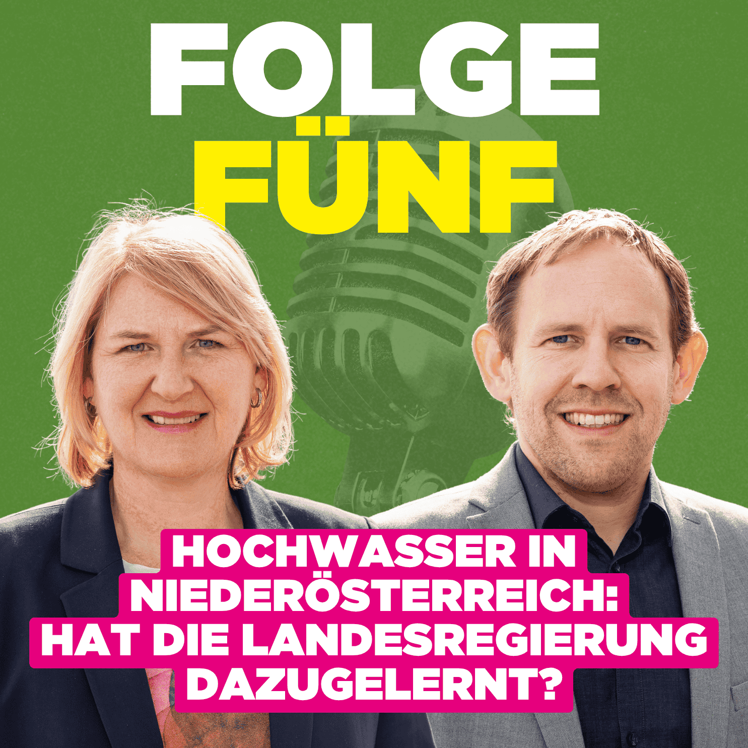 Hochwasser in Niederösterreich: Hat die Landesregierung dazugelernt? episode artwork
