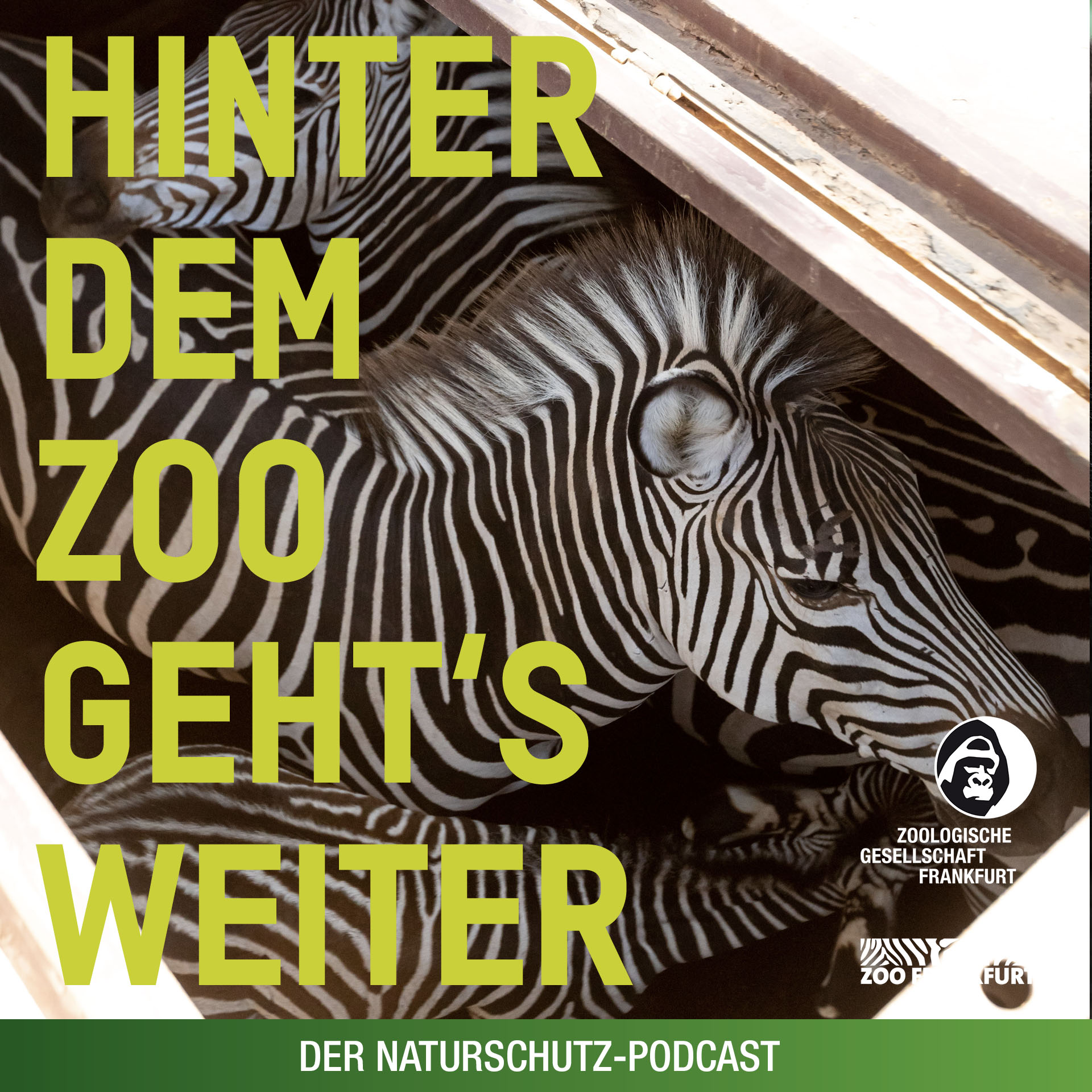 Hinter dem Zoo geht\'s weiter - Der Naturschutzpodcast aus Frankfurt