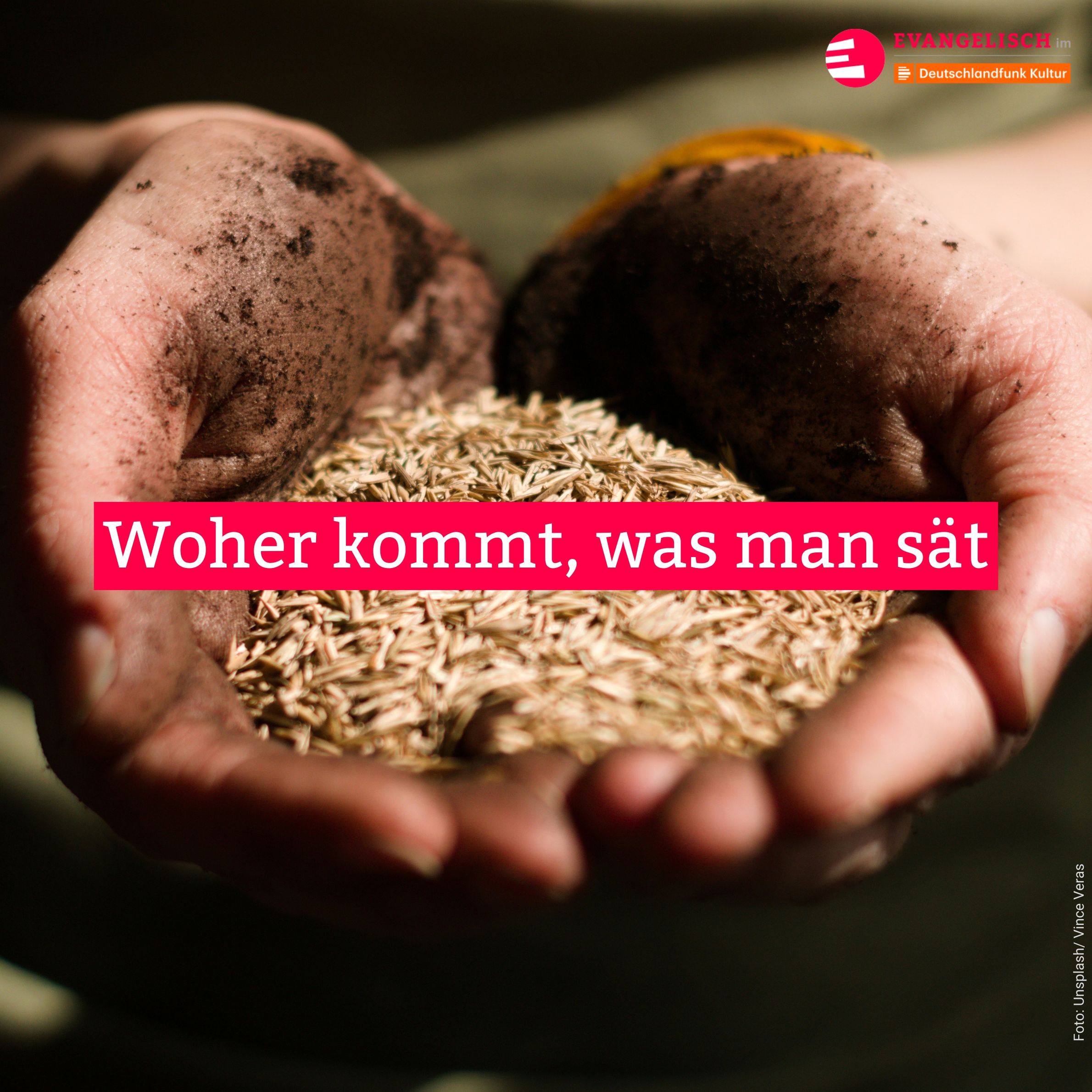 Woher kommt, was man sät